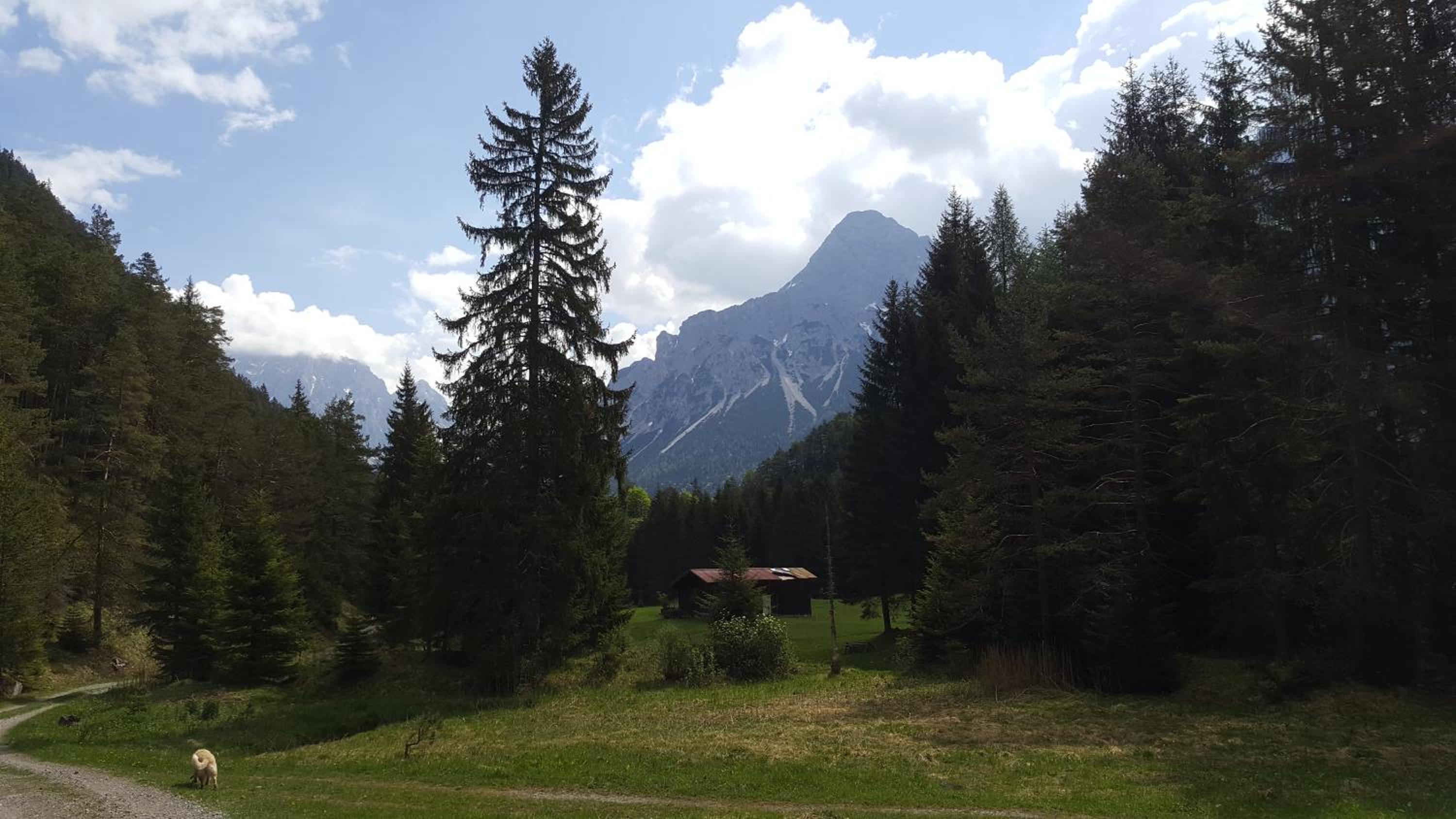 Photo 19