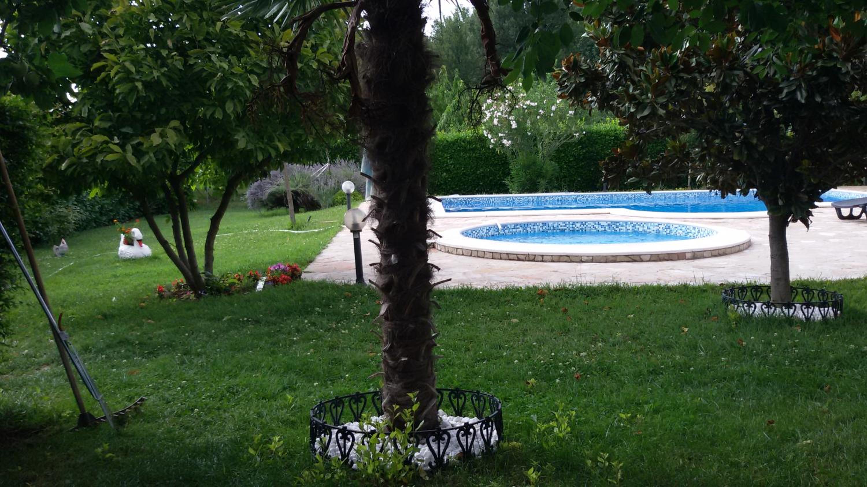 Photo 26