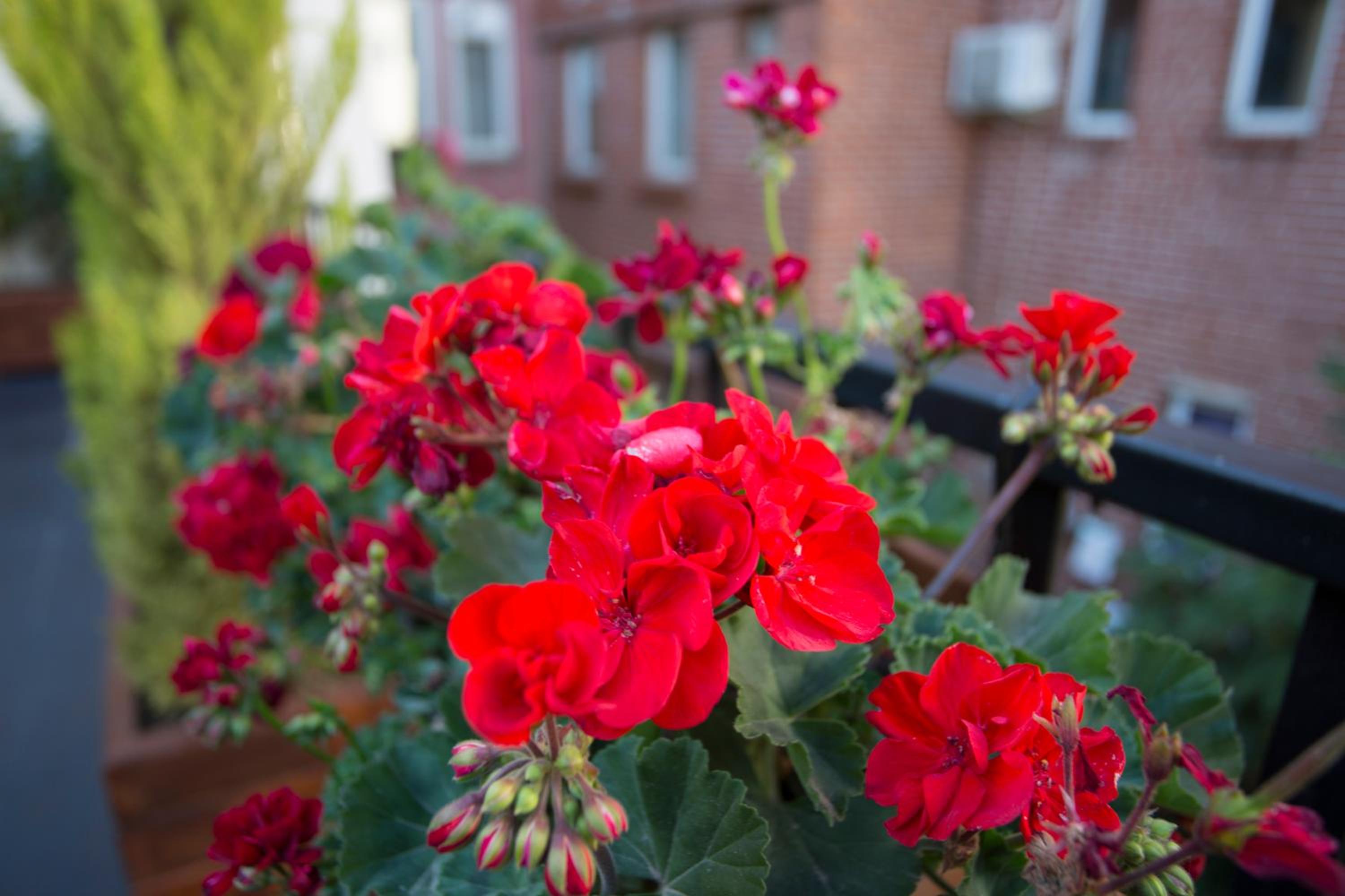 Long Stay İstanbul Residansı - Image 29