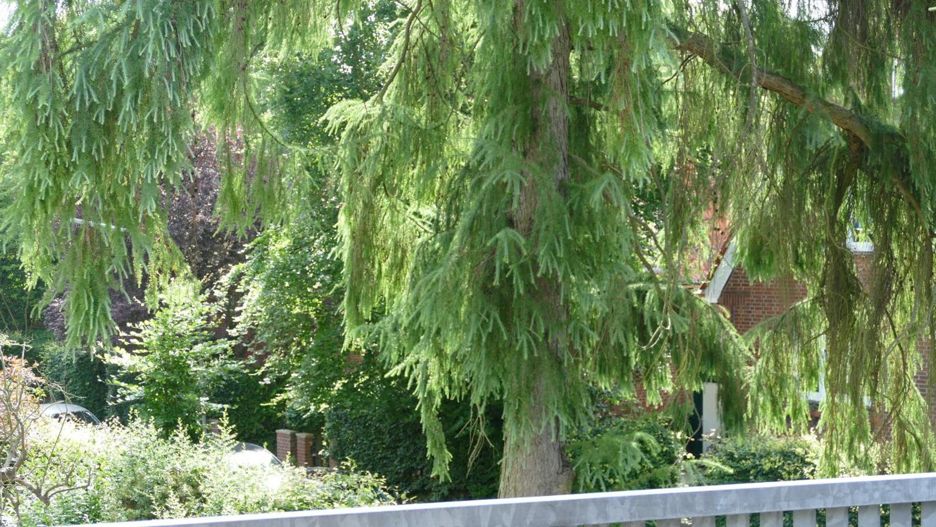 Privatzimmer Hamburg Alsterdorf