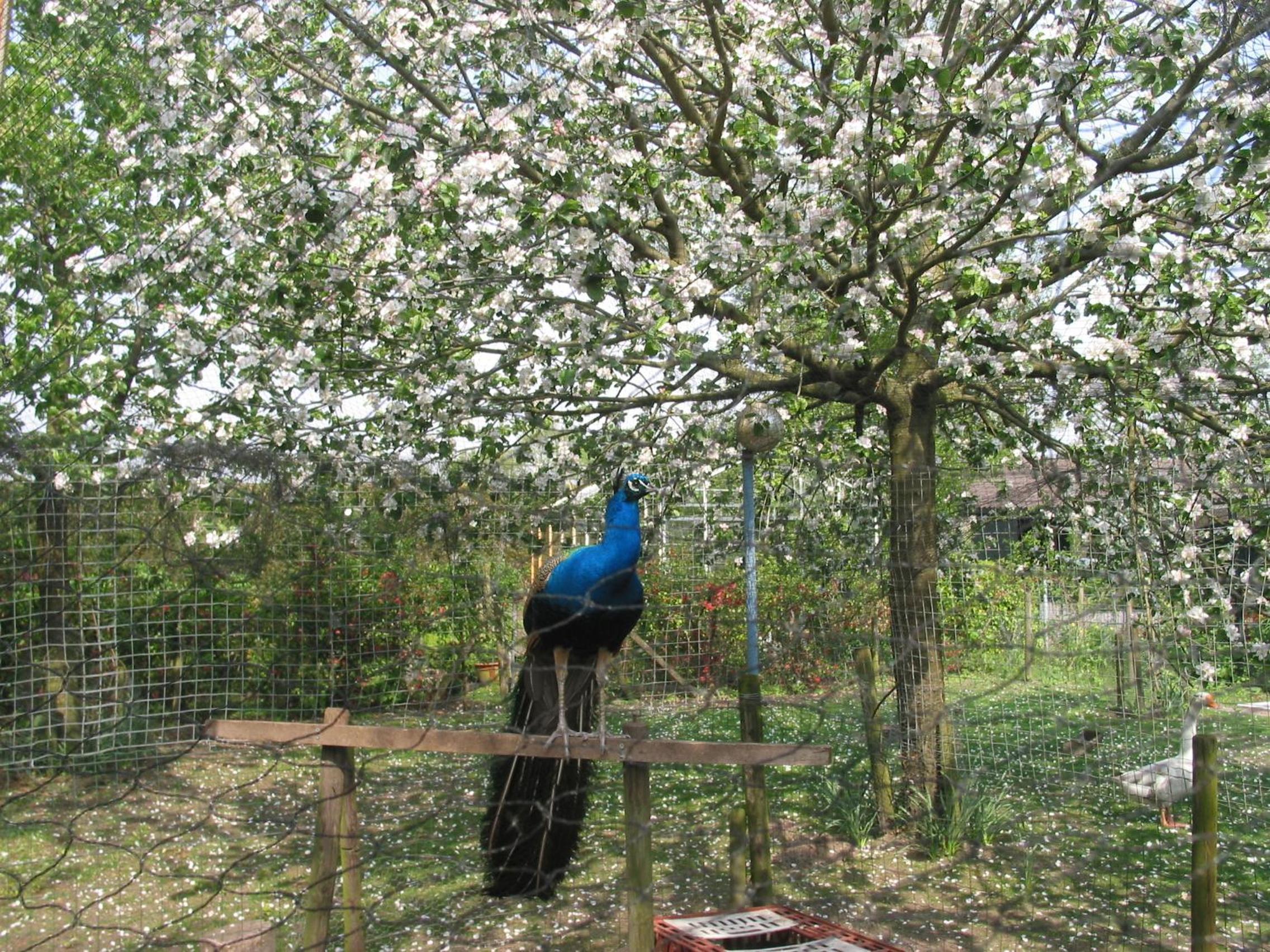 Photo 20