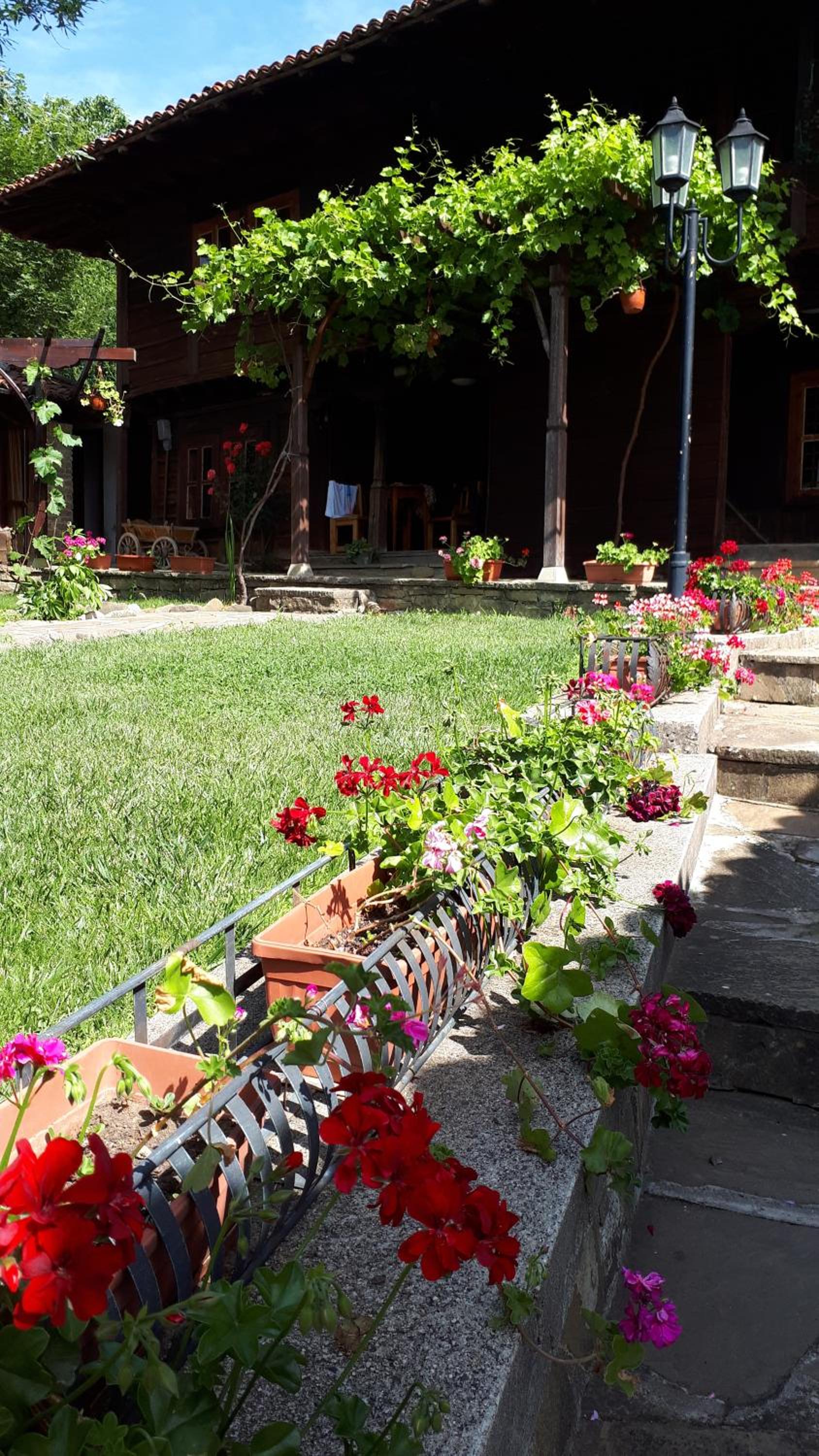 Guest House Zarkova Kushta
