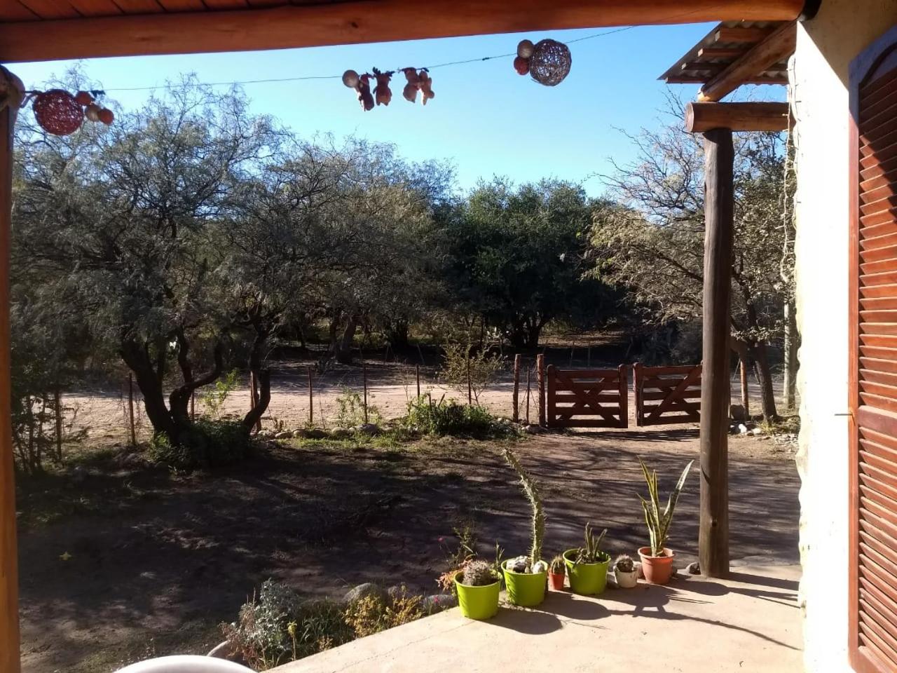 Jardin de Estrellas