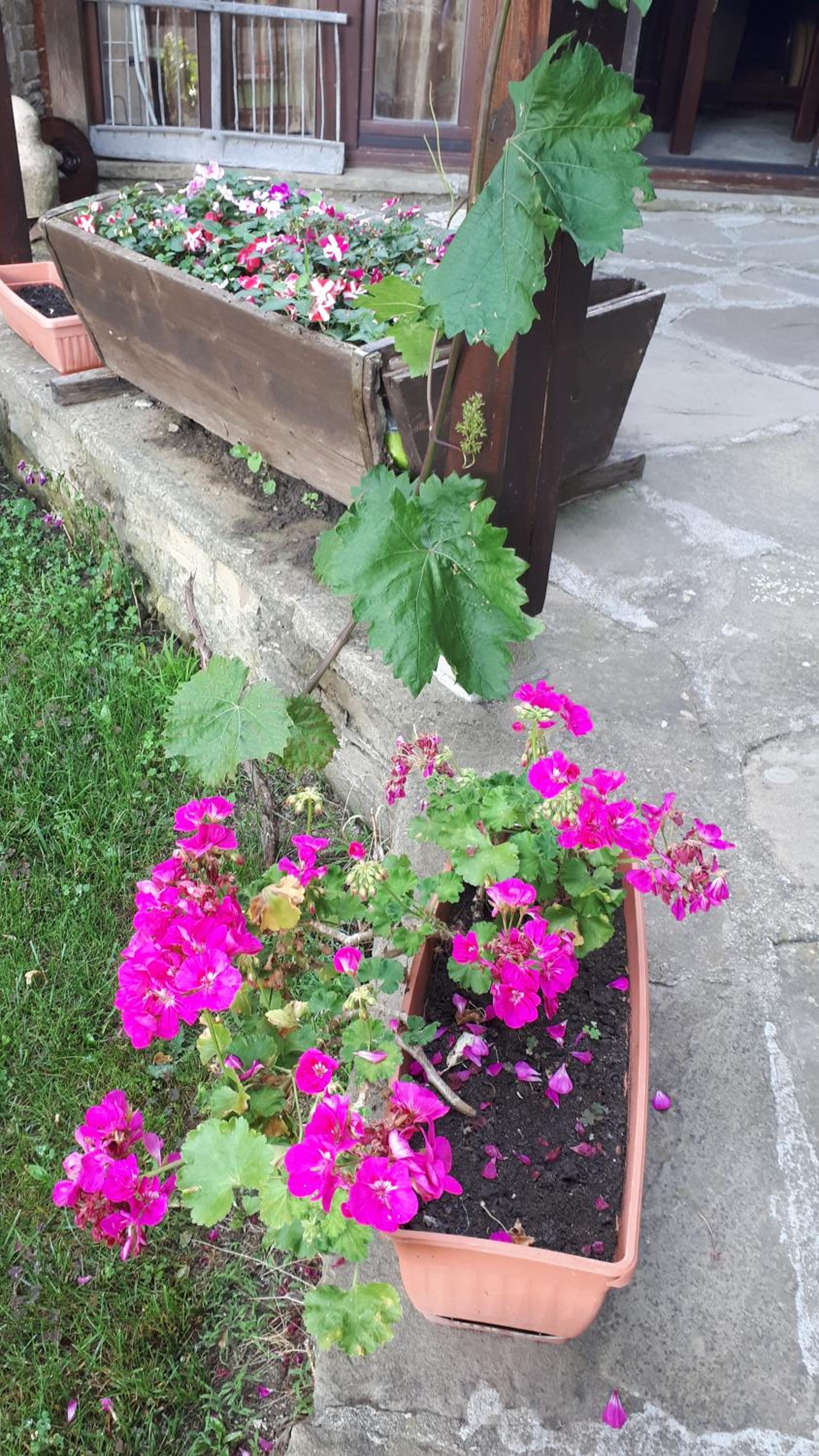 Guest House Zarkova Kushta