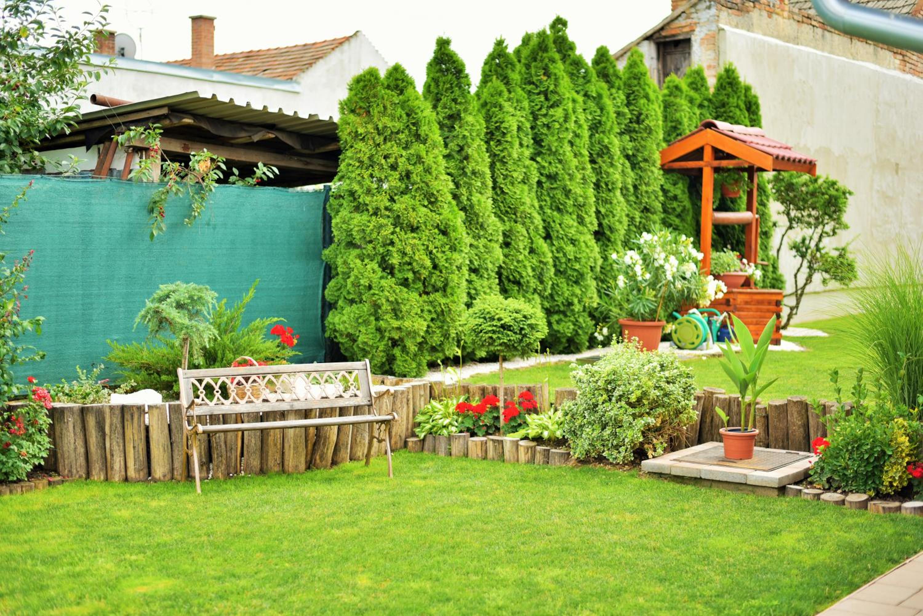 Photo 15
