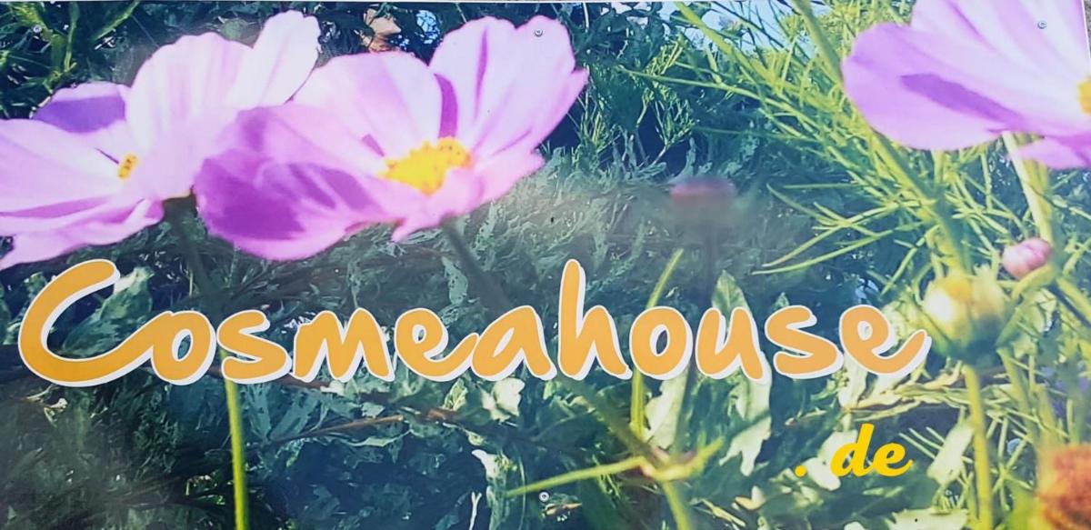 Ferienwohnung Cosmeahouse - Property Image 5