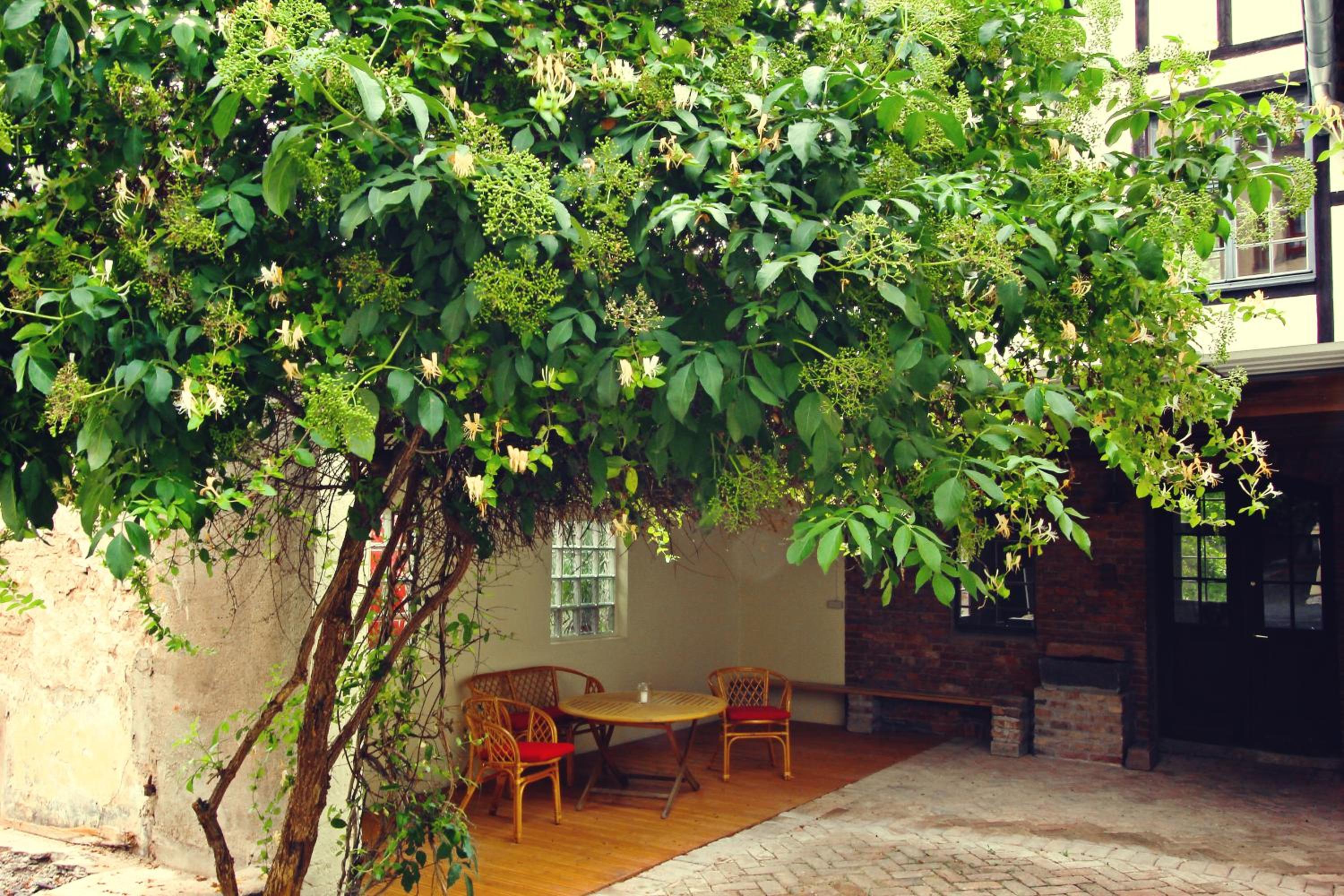 Ferienhaus Atelier