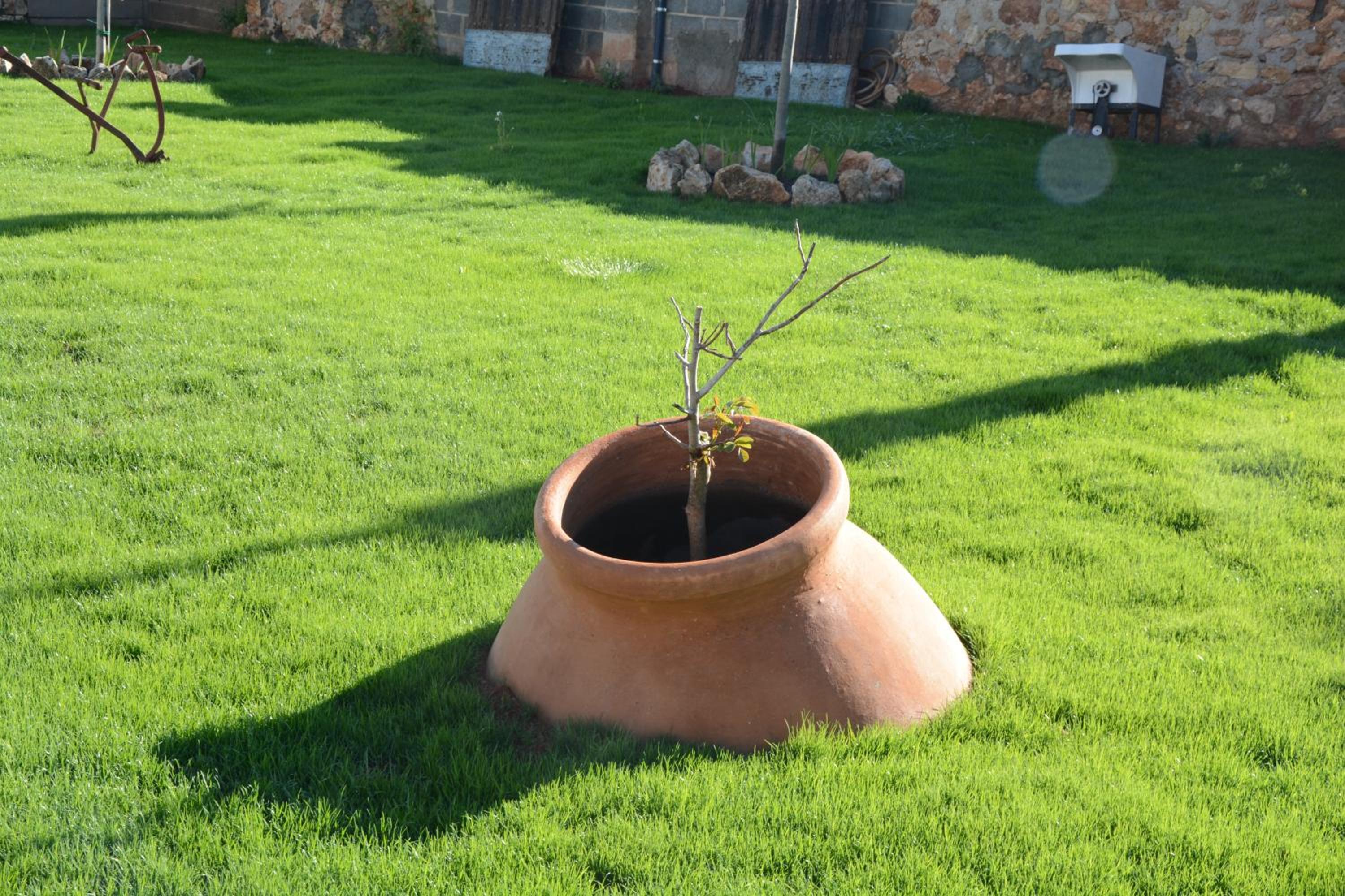 Casa Rural Aromas de la Manchuela