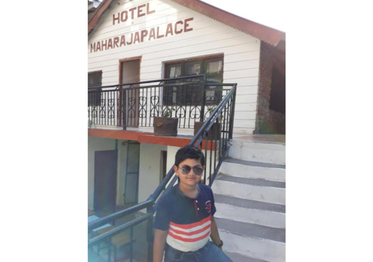 Budget Maharaja Hotel view 4