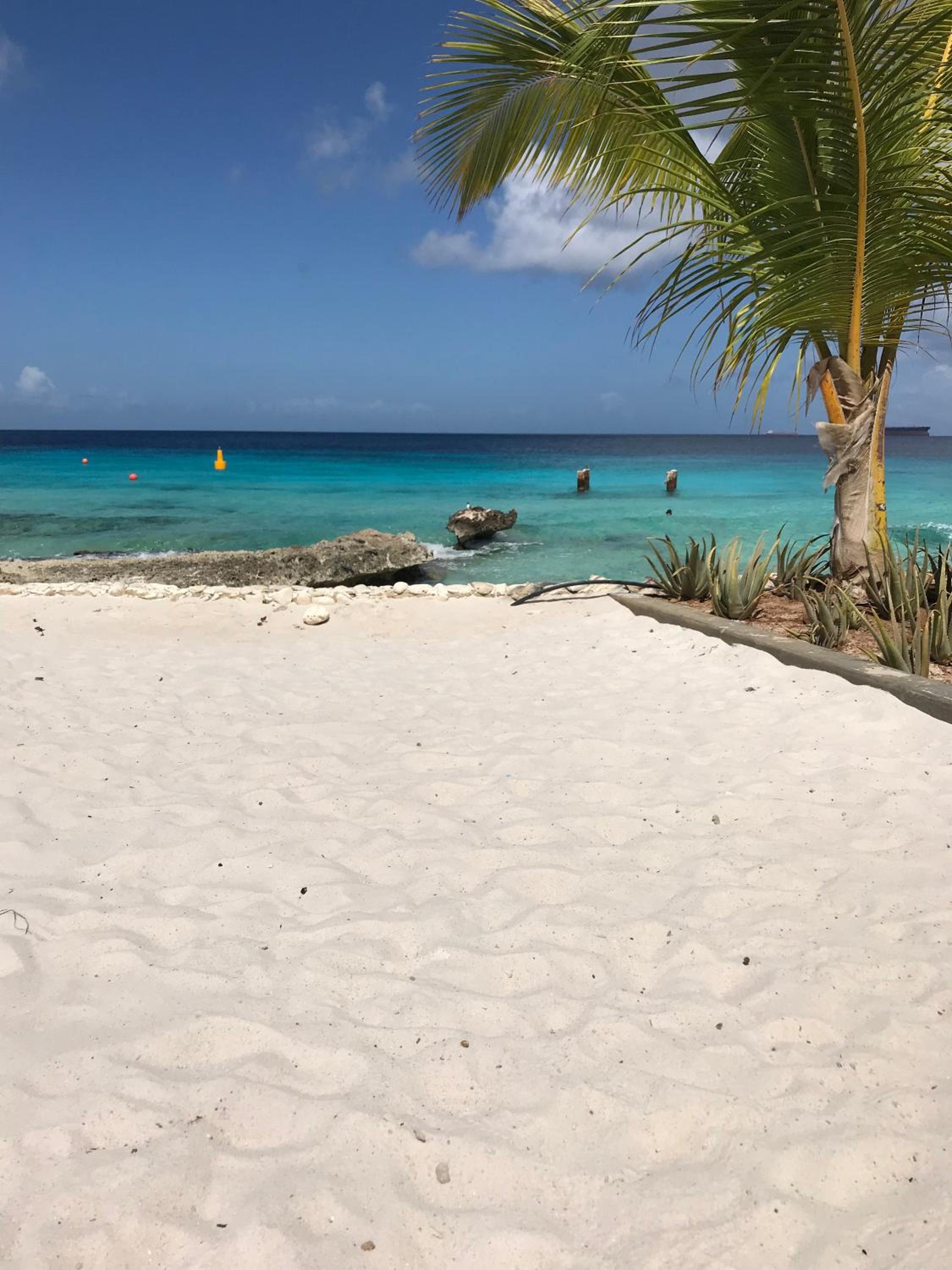 Bonaire Boutique Resort