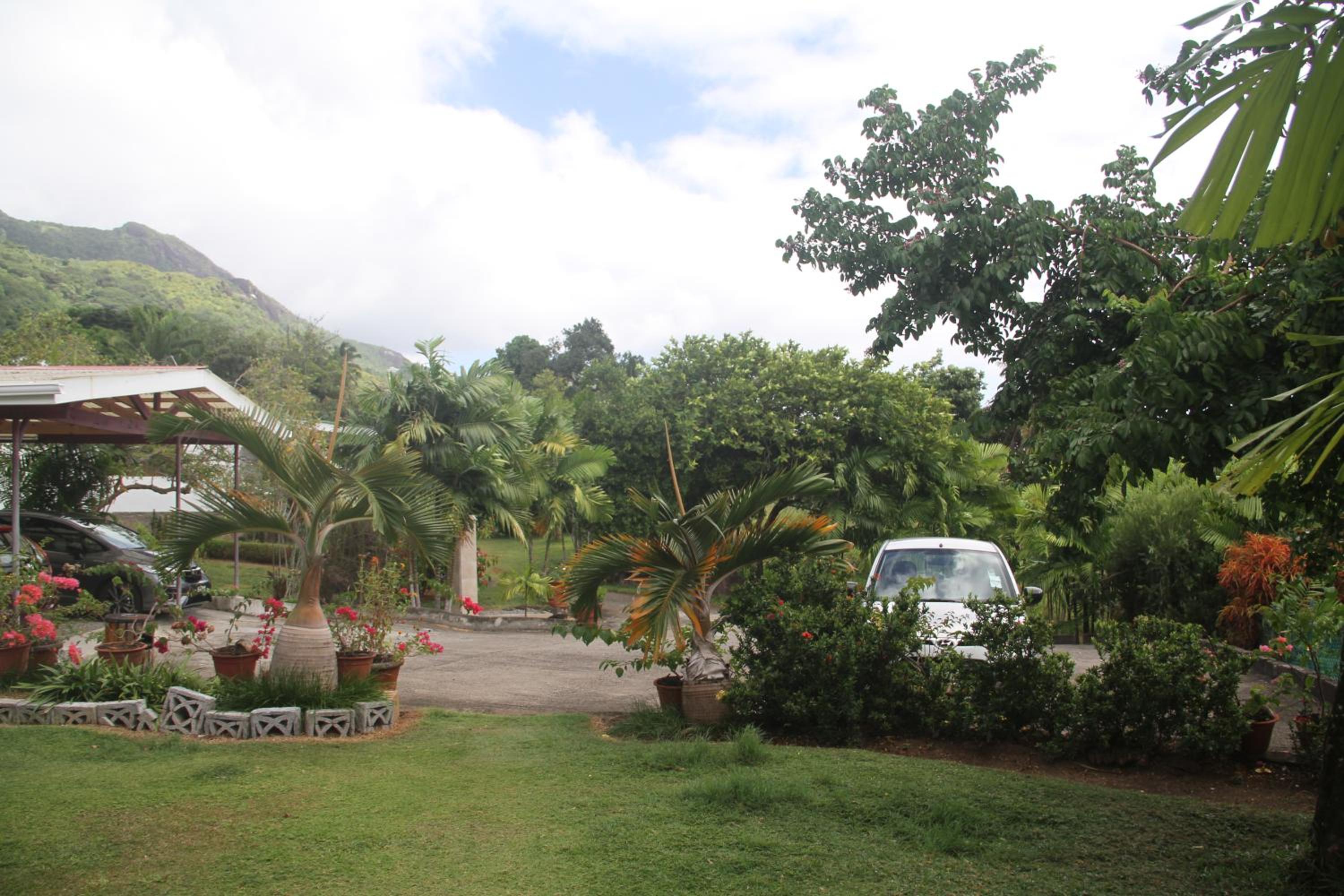 Photo 19
