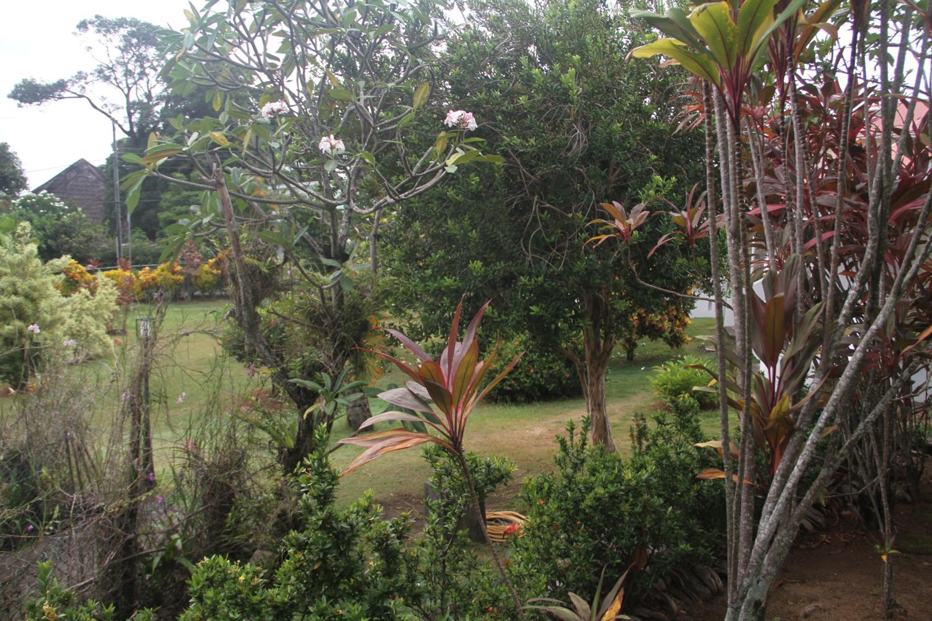 Photo 20