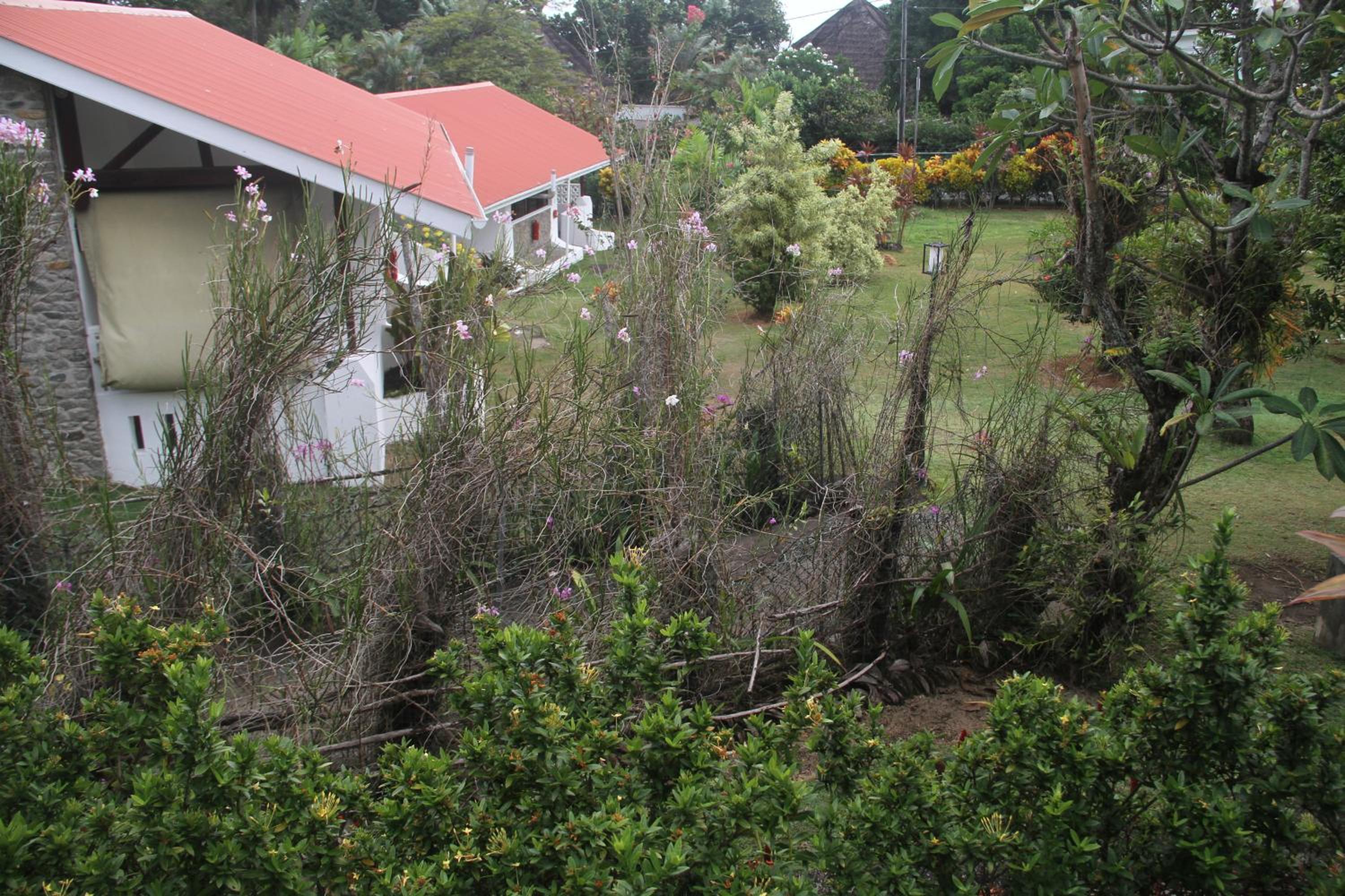 Photo 21