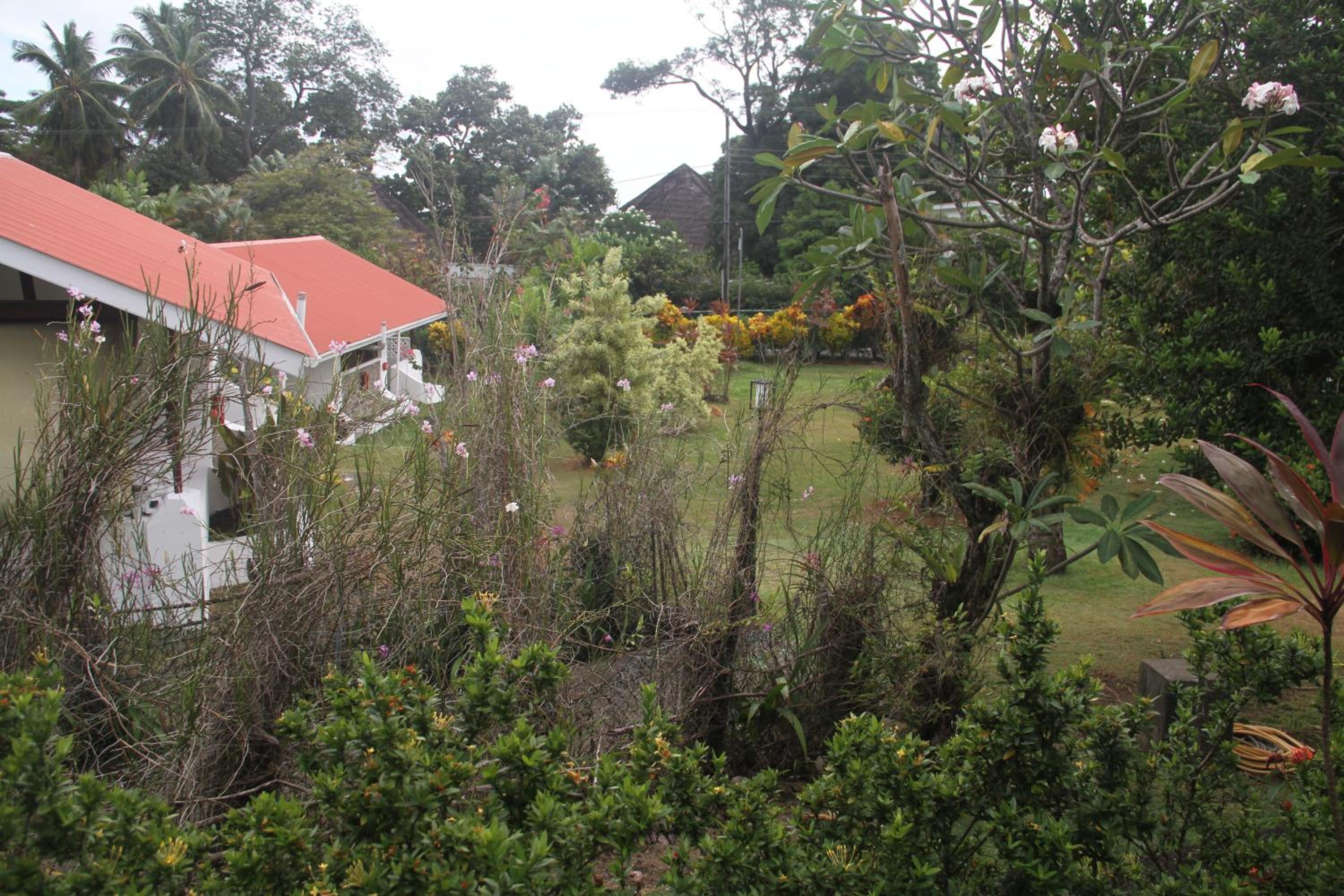 Photo 22