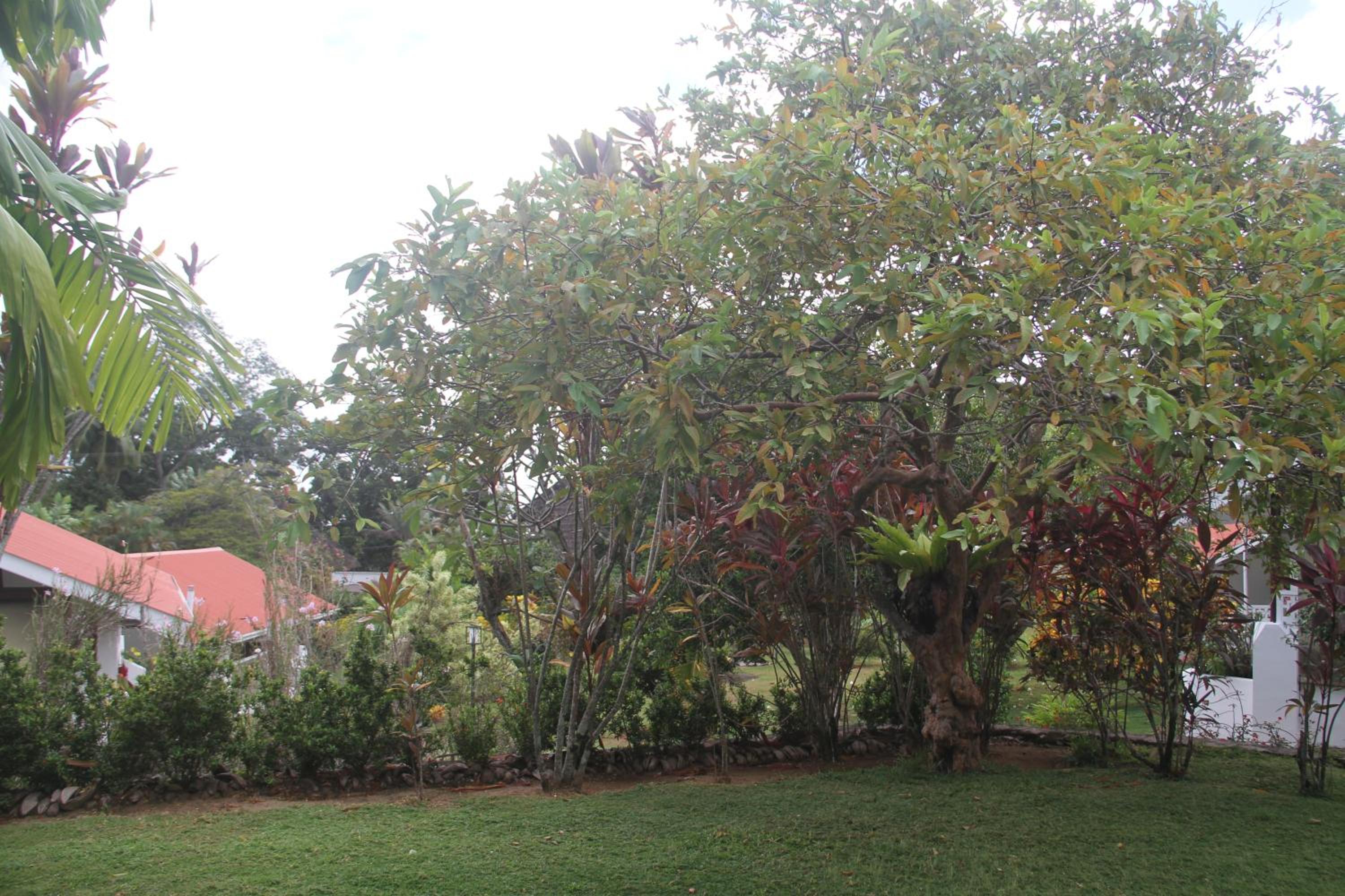Photo 23