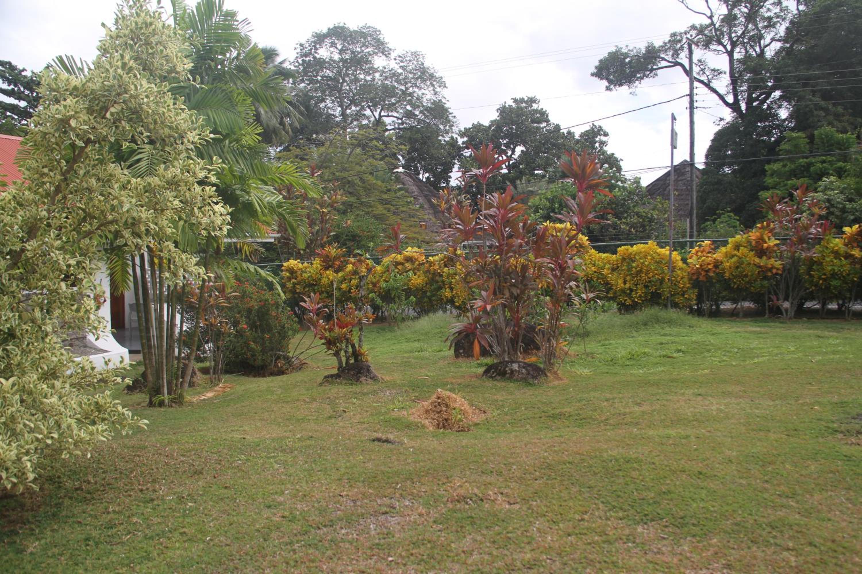 Photo 30
