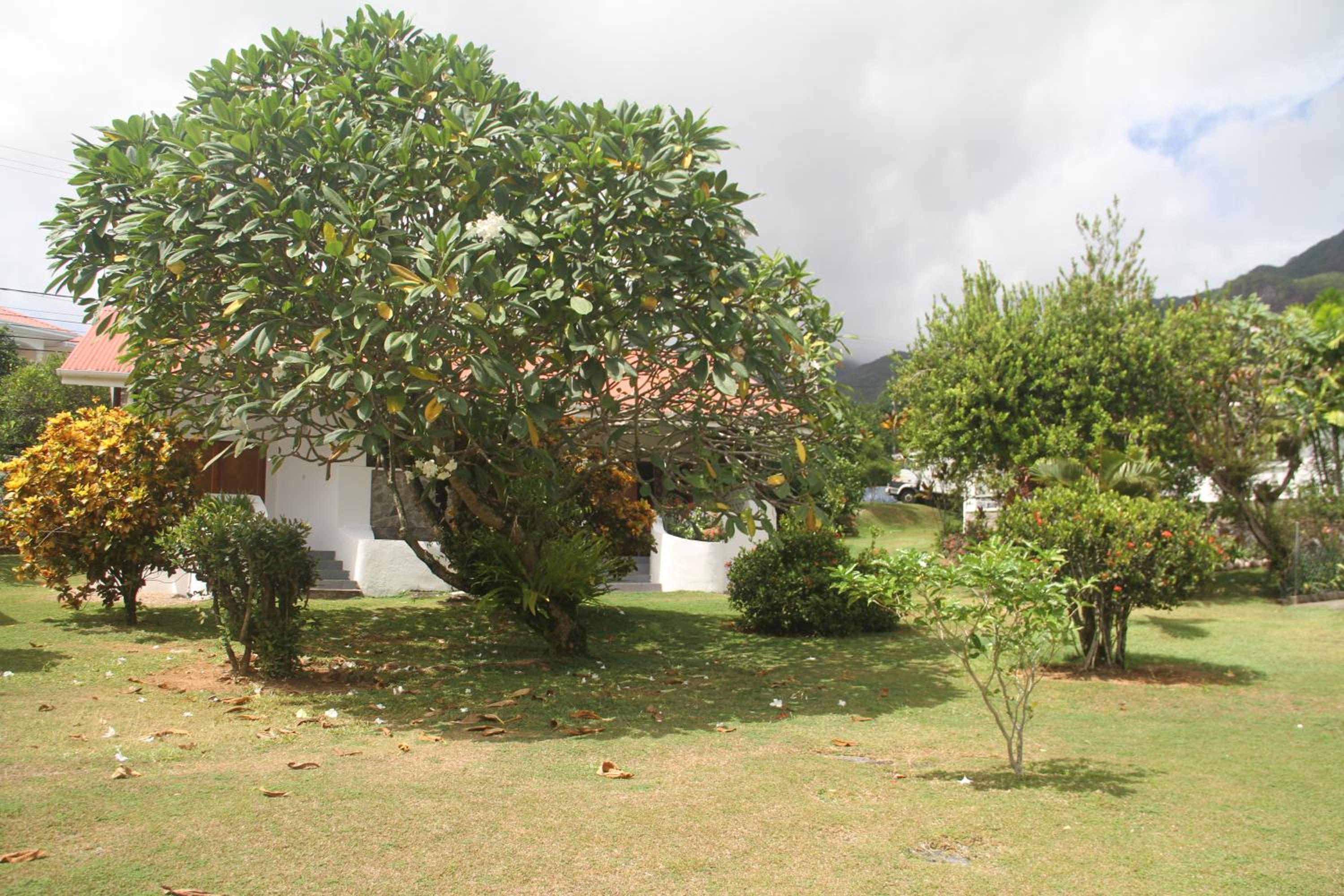 Photo 32