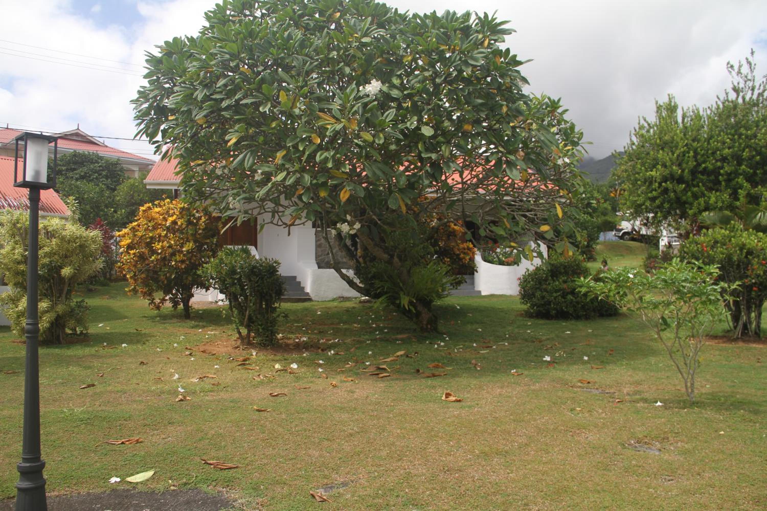 Photo 34