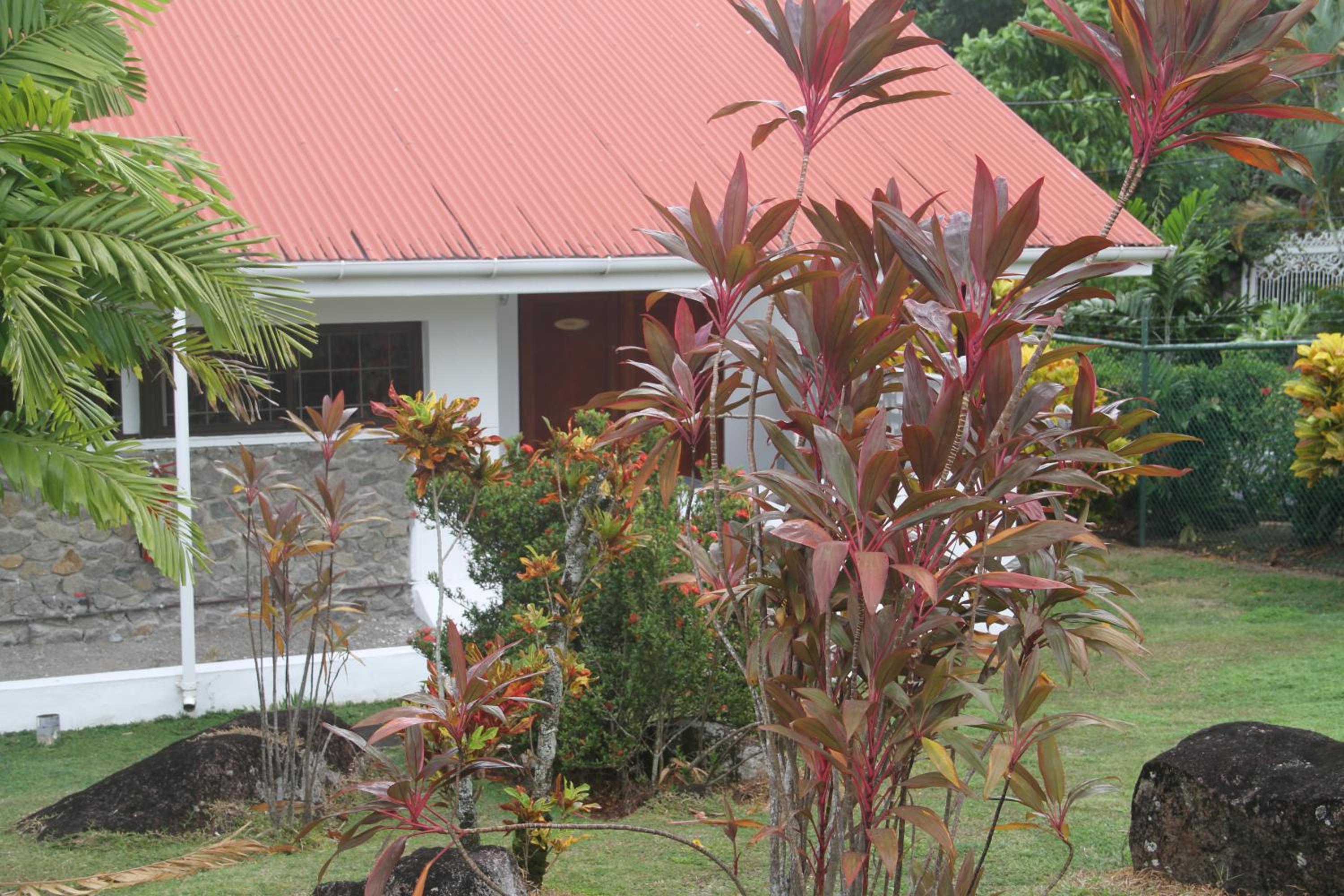 Photo 40