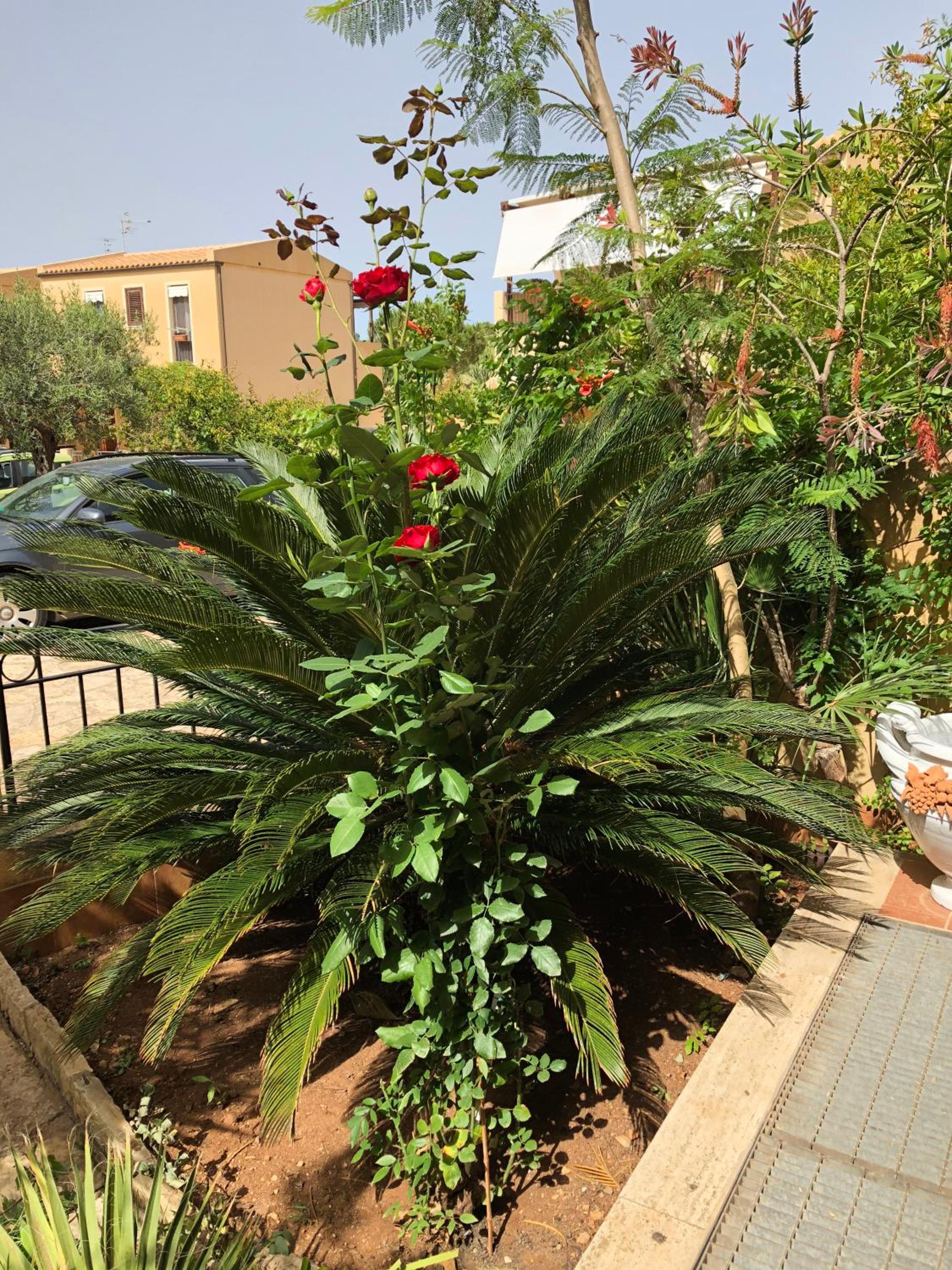 casa Francy view 3