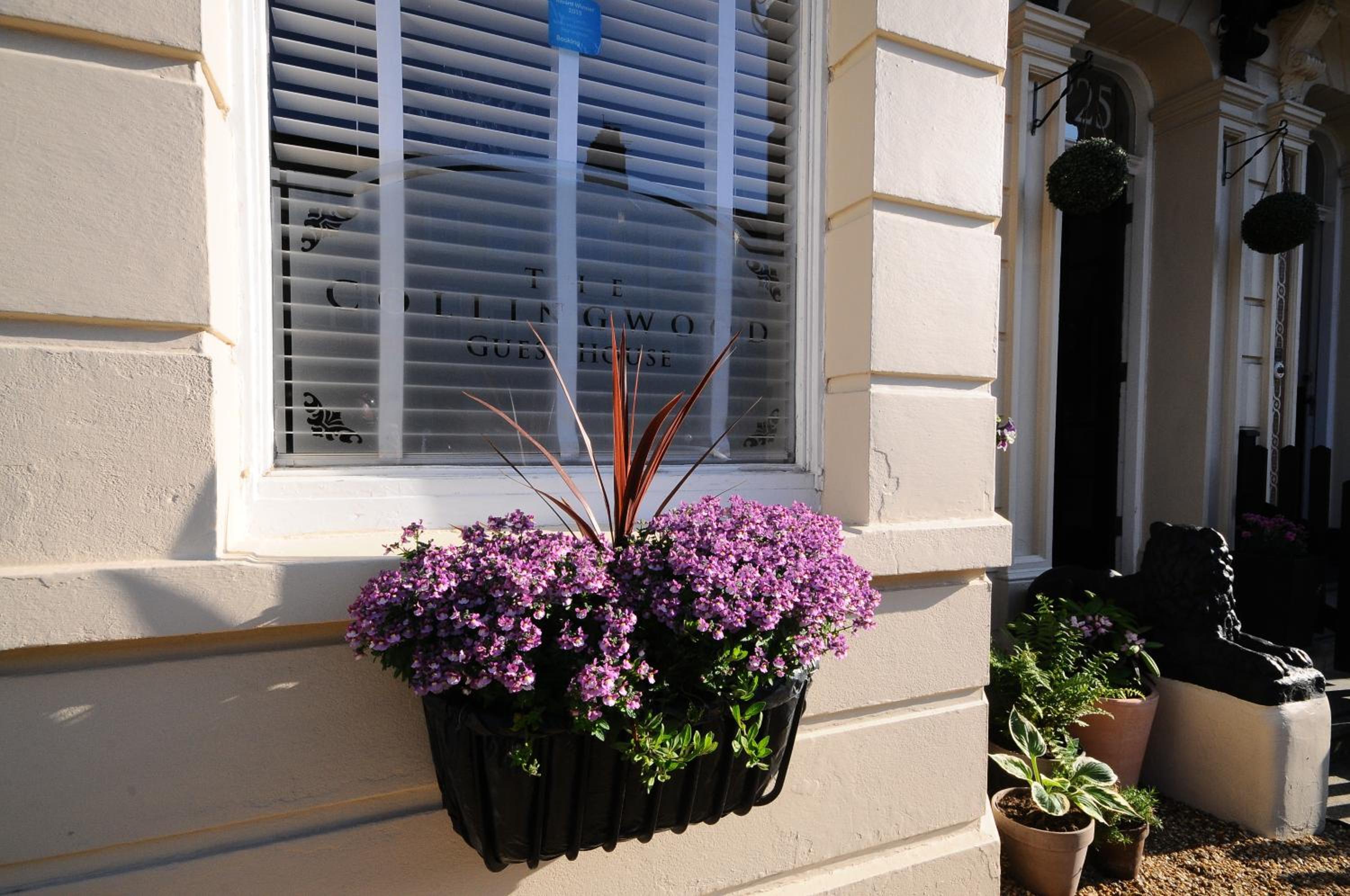 The Collingwood Guest House