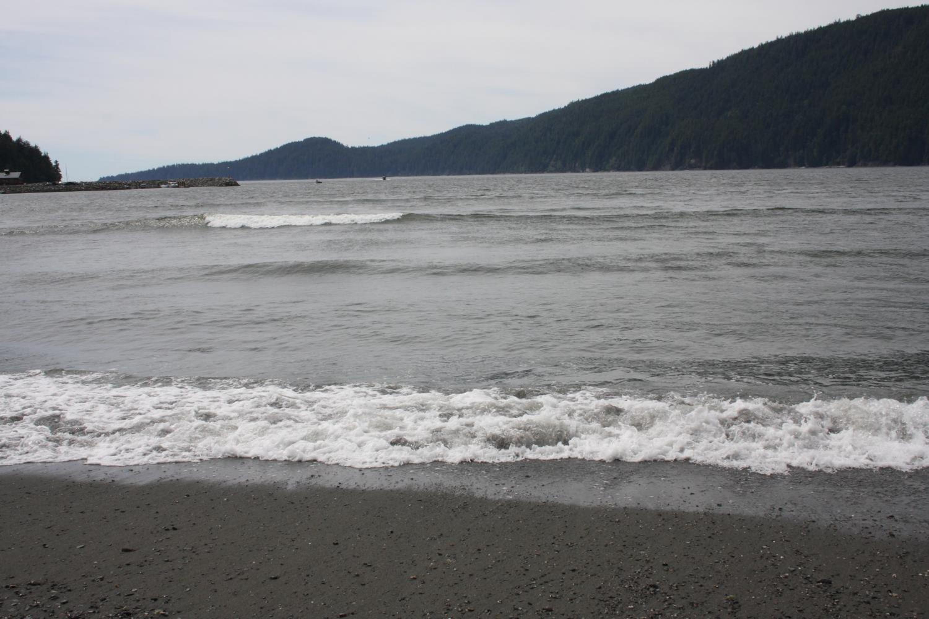 Photo 46