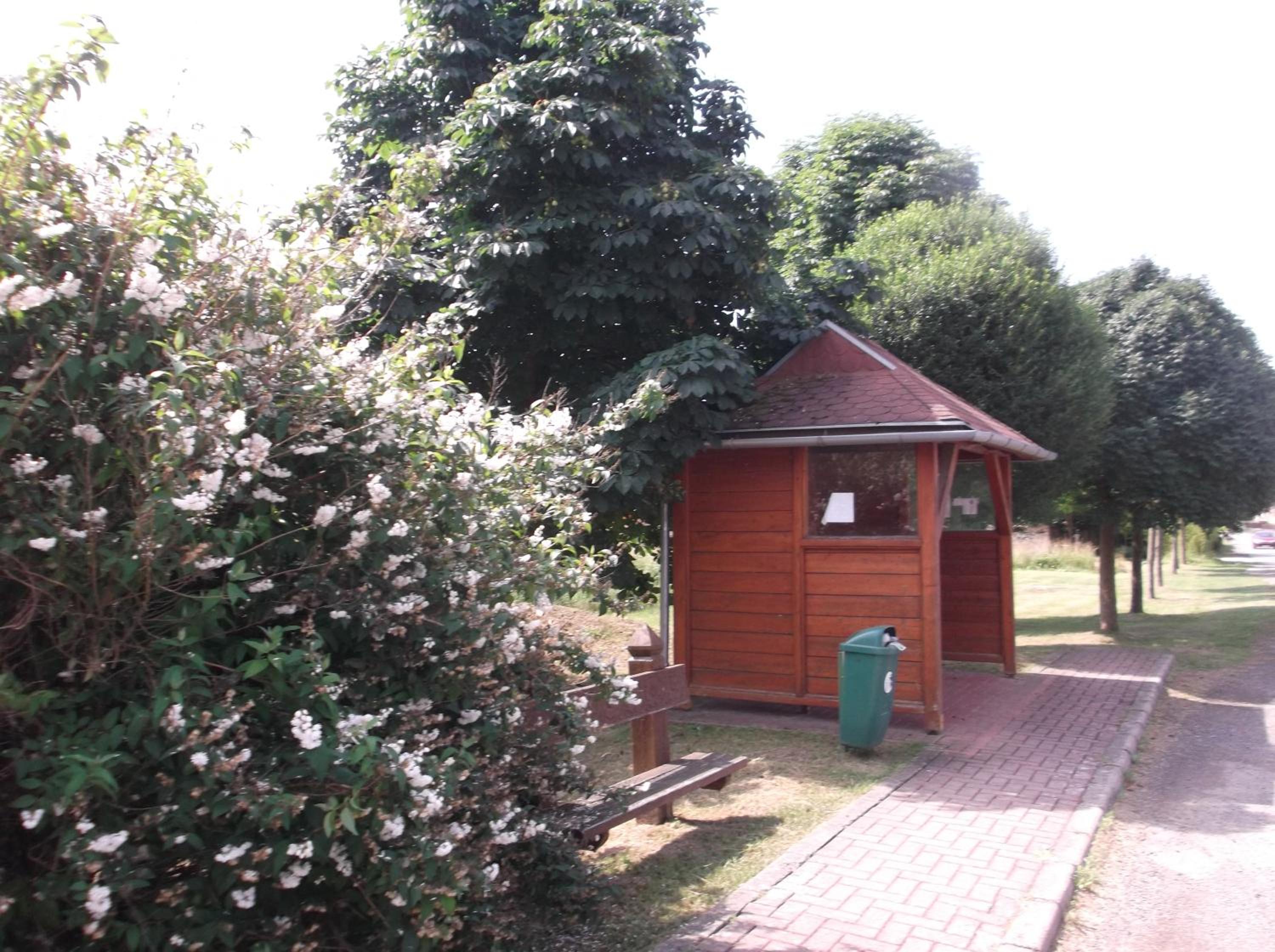 Photo 17