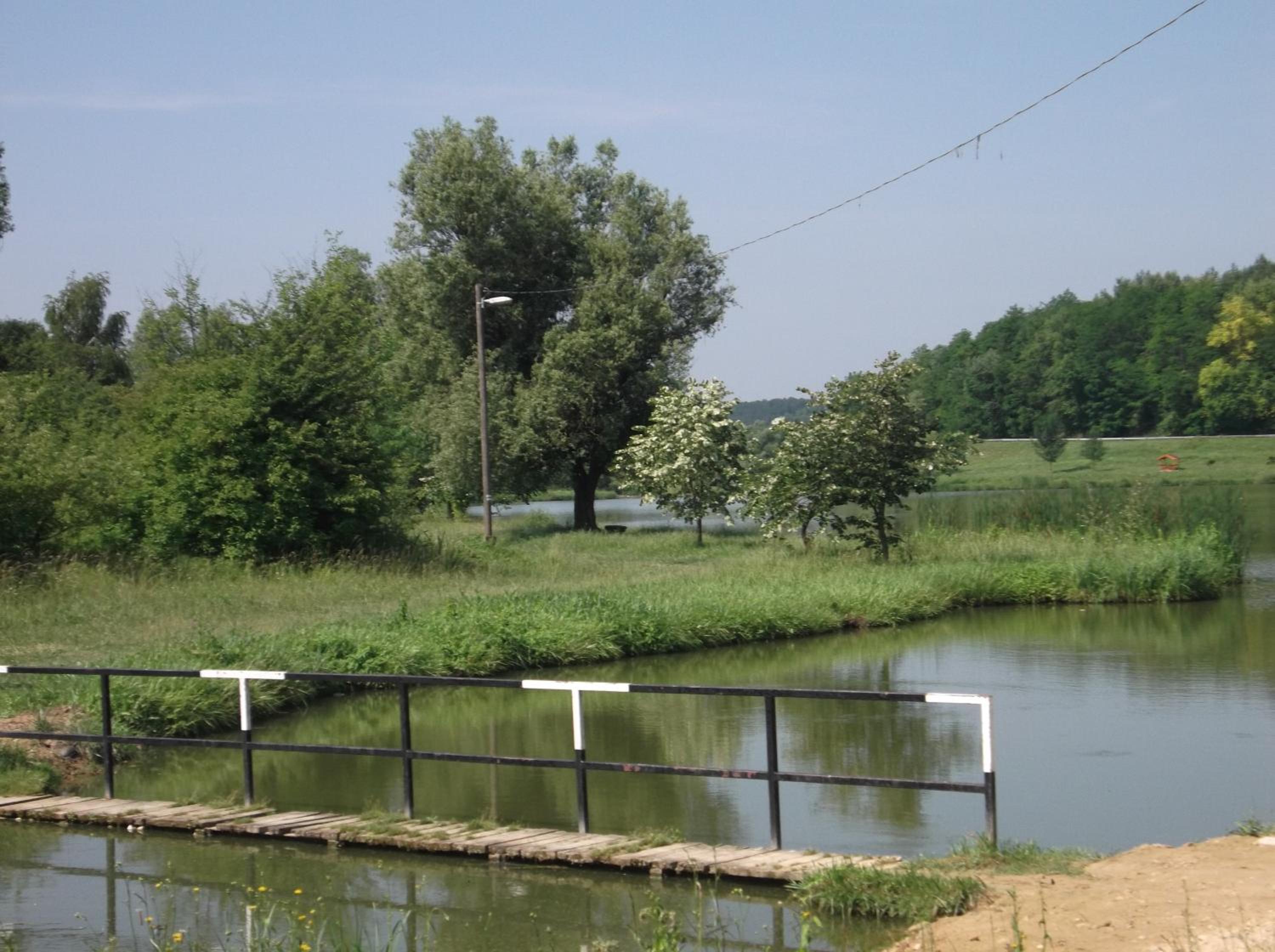 Photo 11