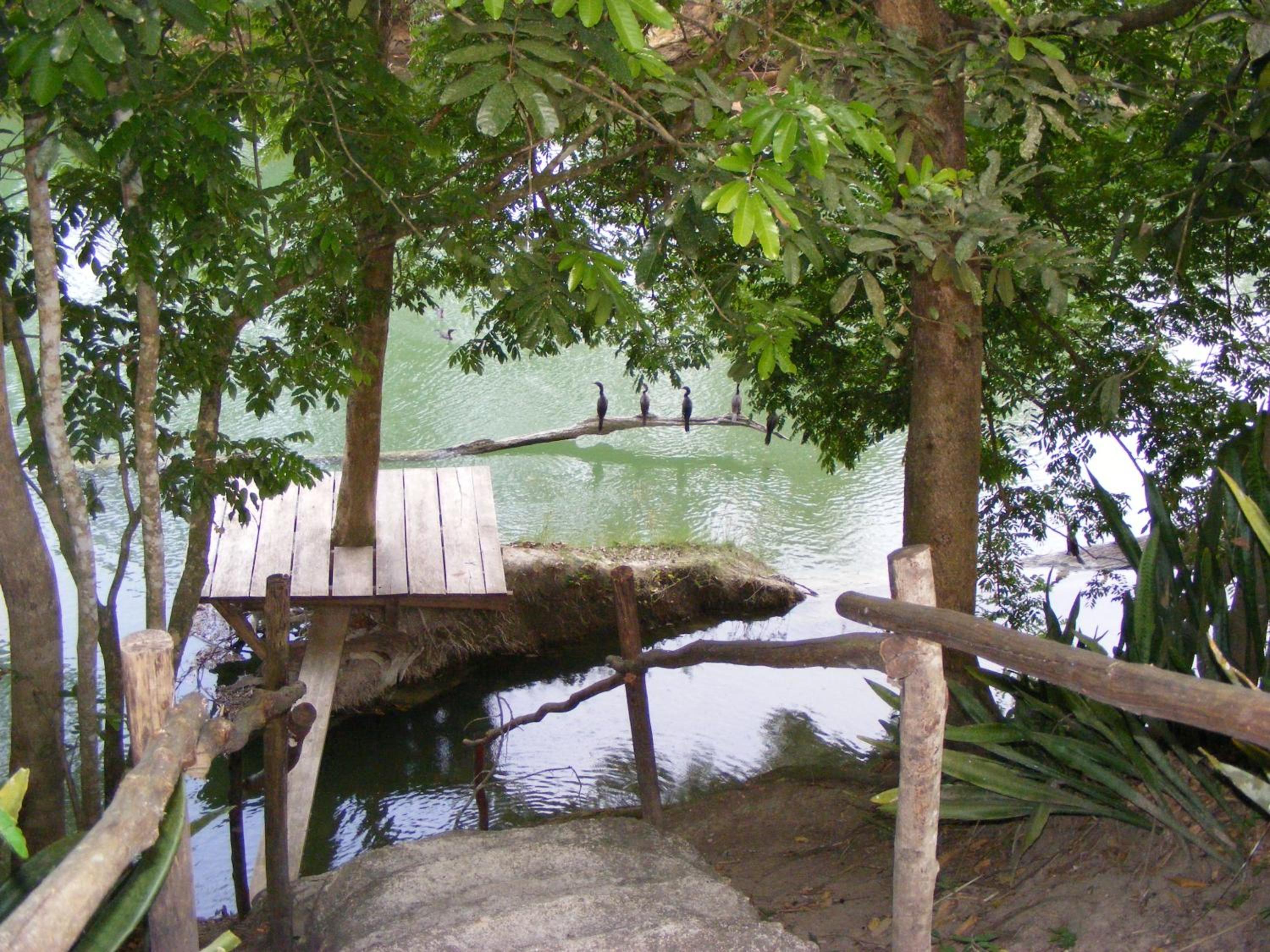 Cohune Palms River Cabanas
