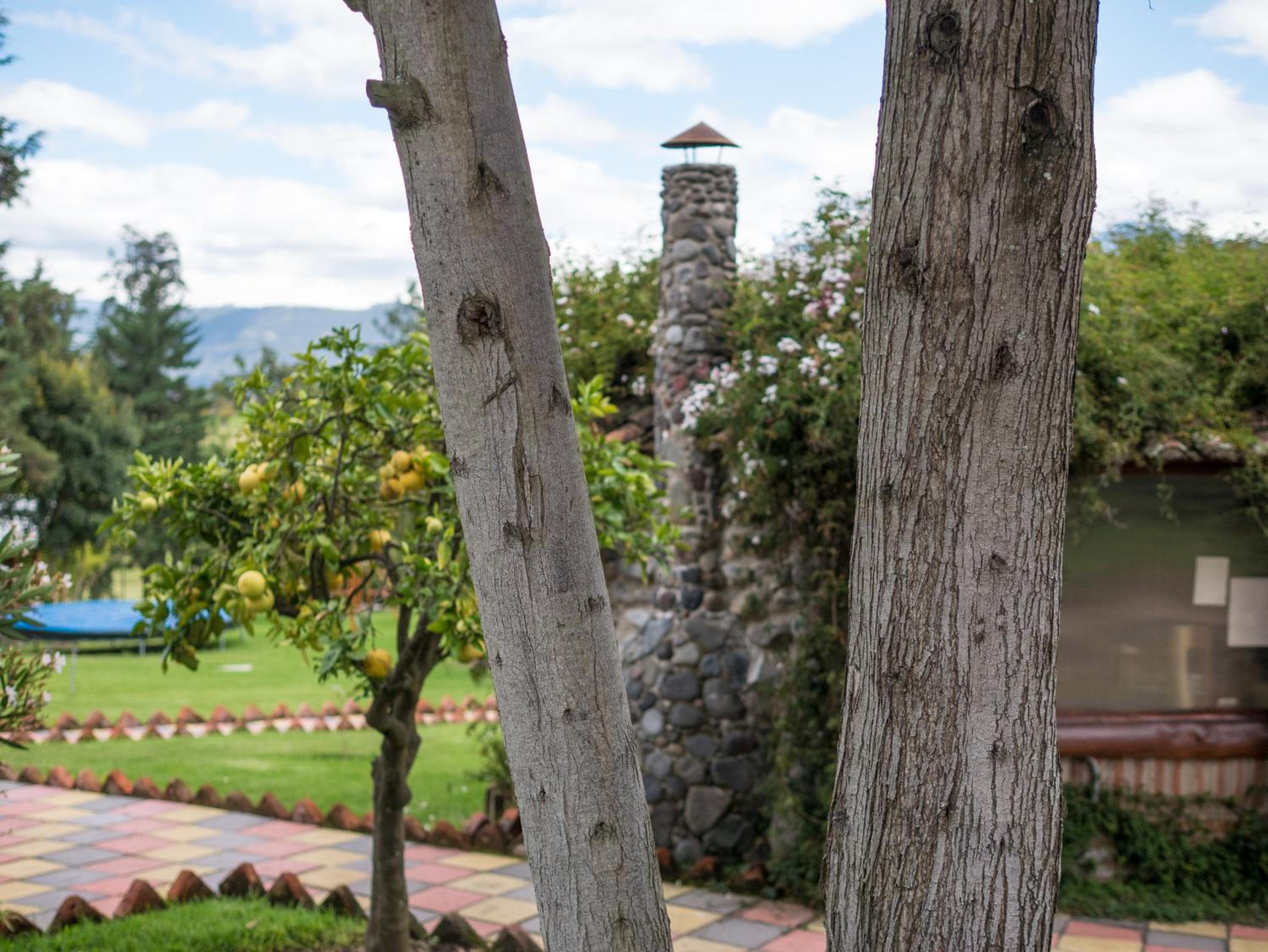 Zaysant Ecolodge