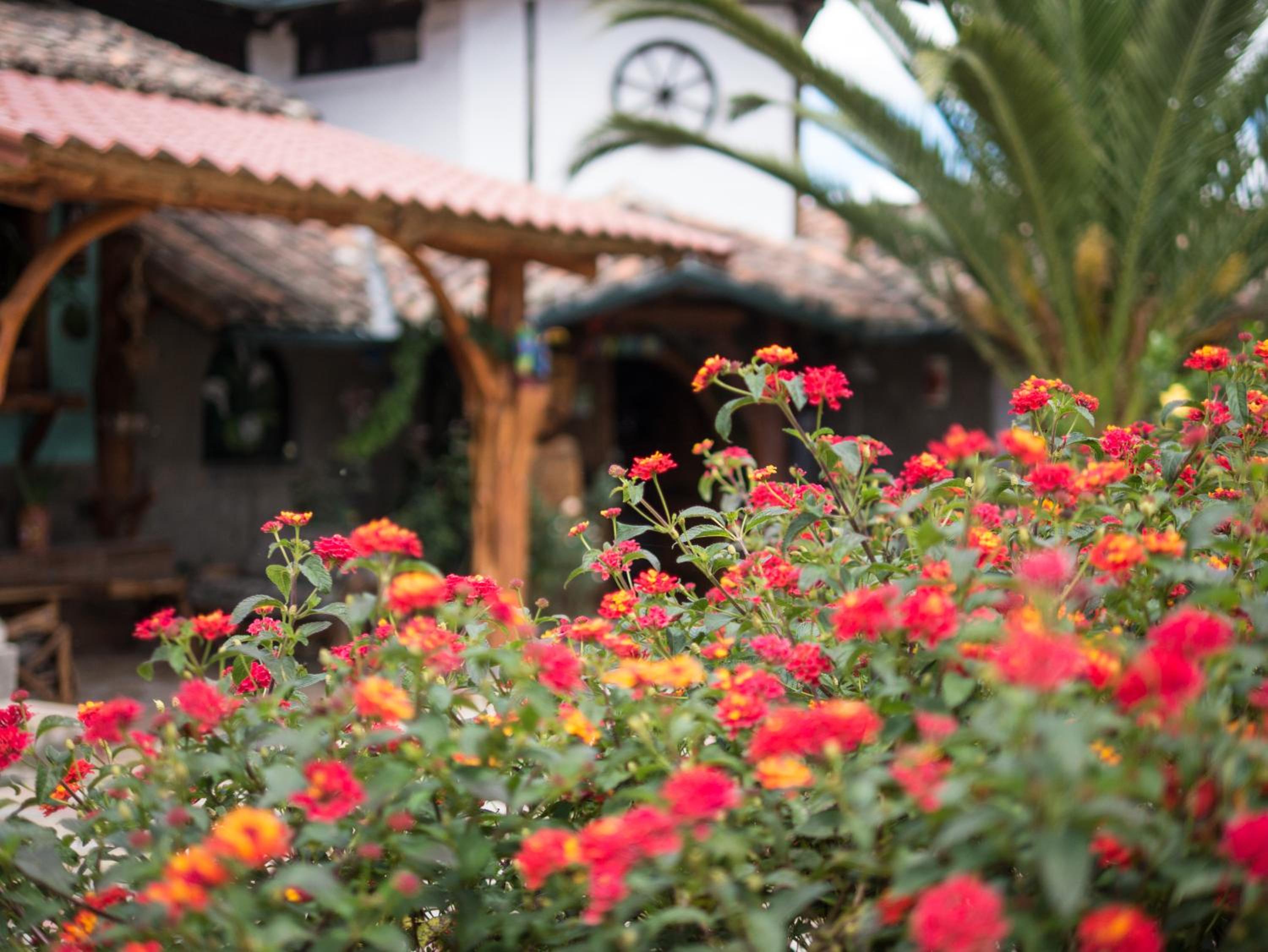 Zaysant Ecolodge
