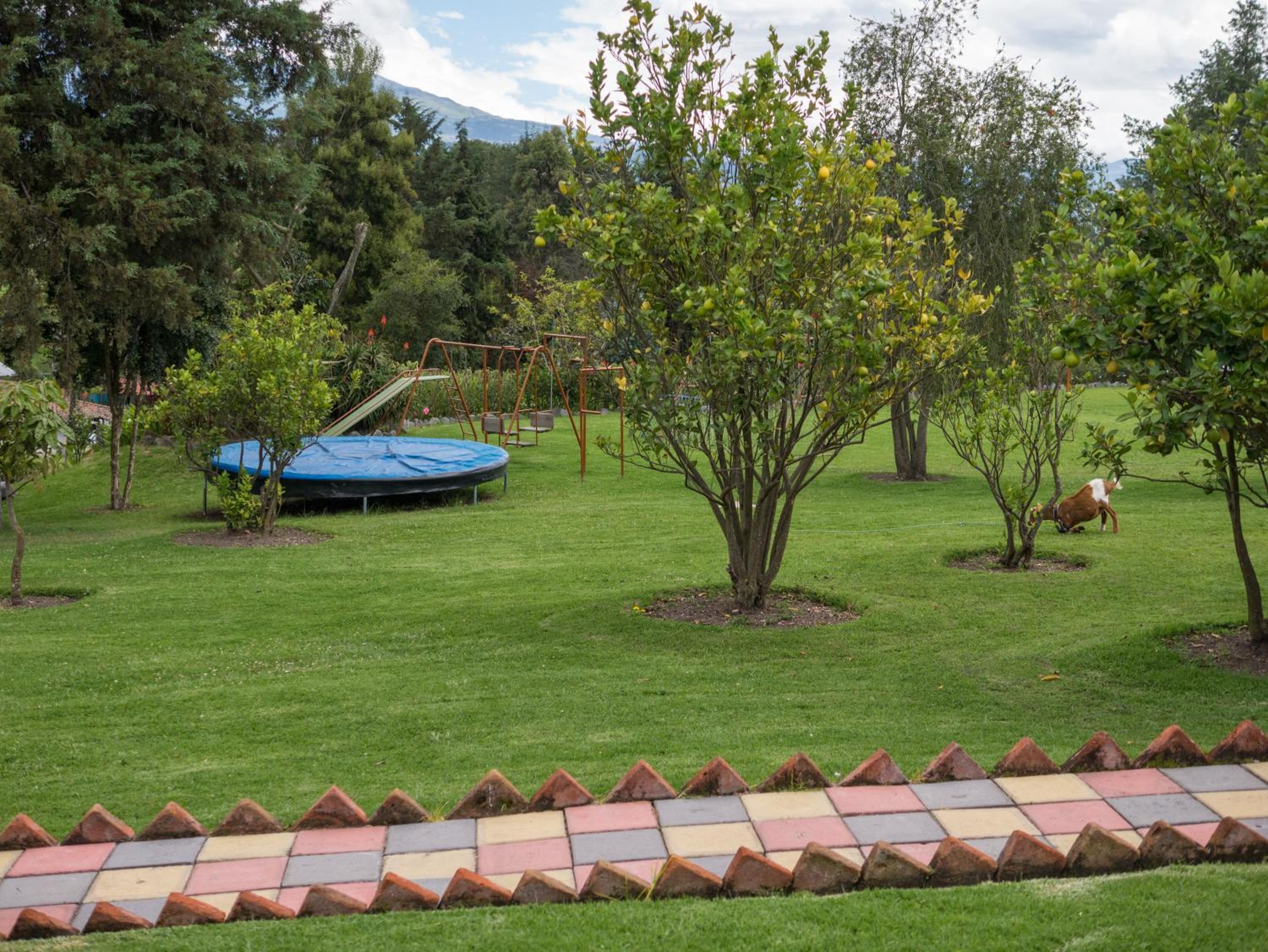 Zaysant Ecolodge