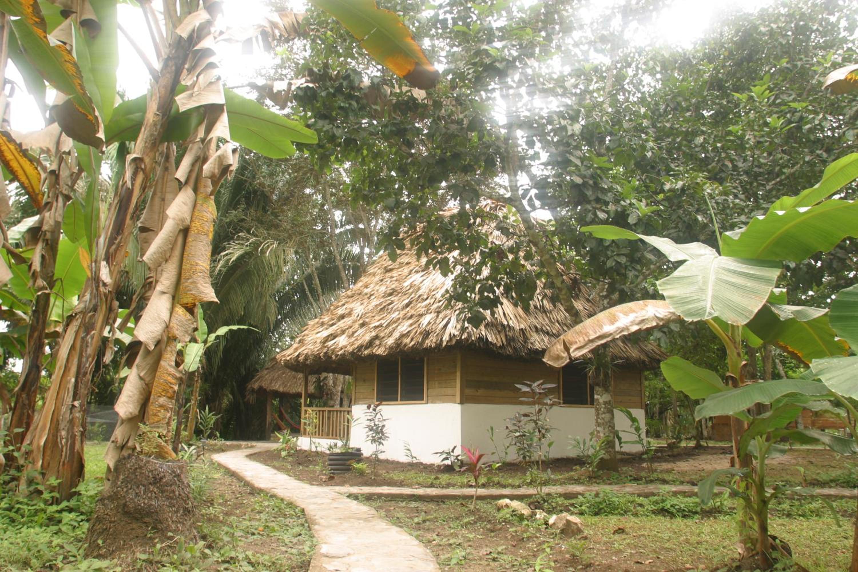 Cohune Palms River Cabanas