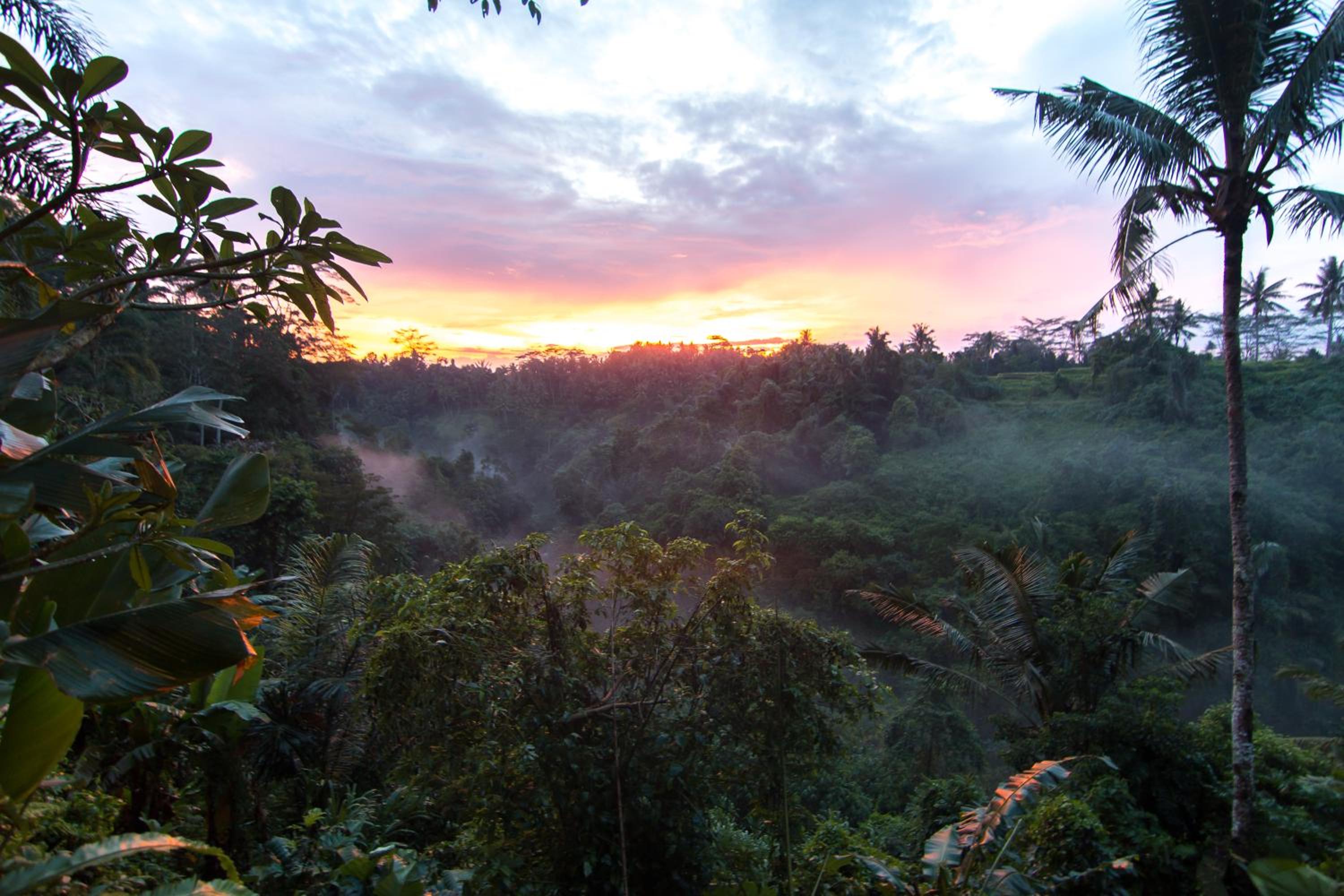 other