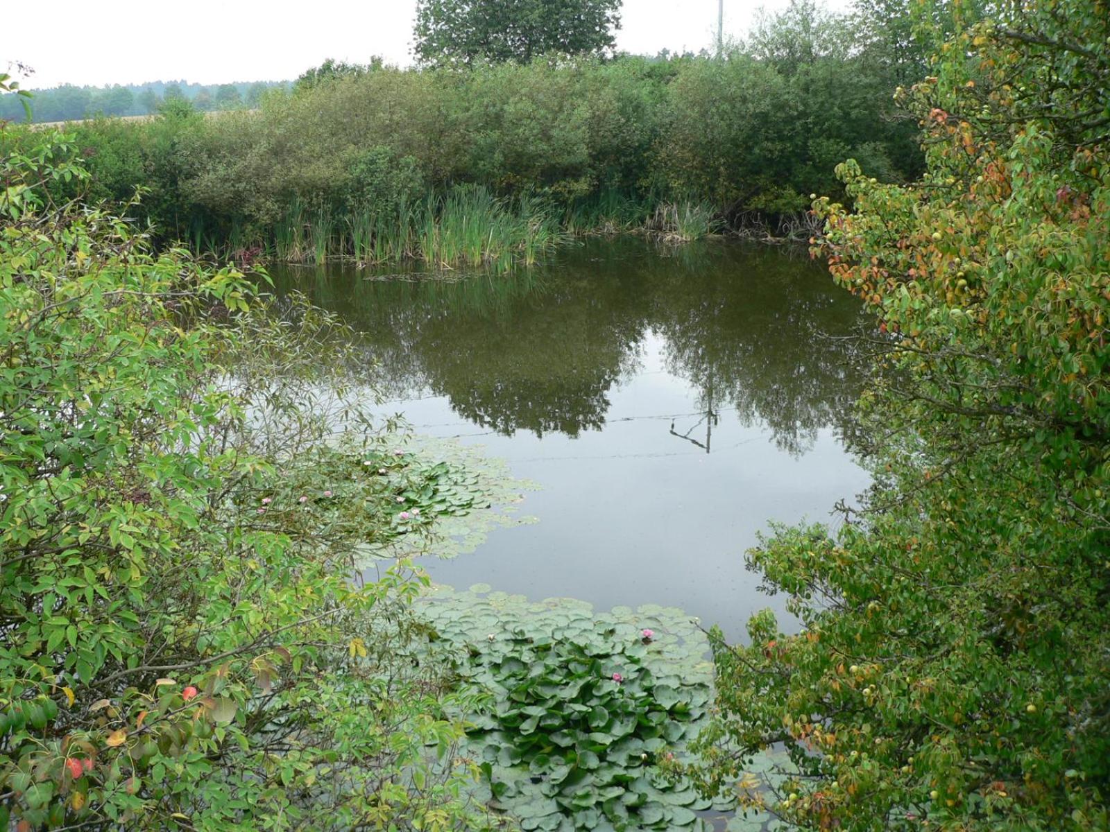 Photo 33