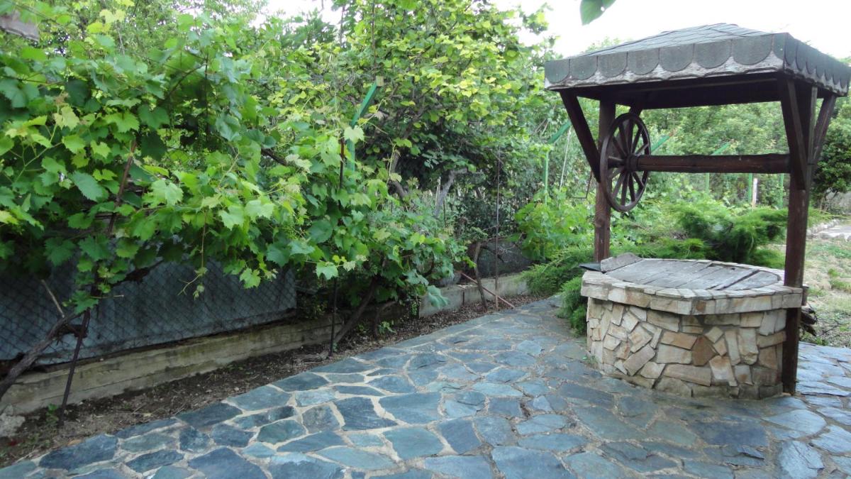 Photo 21