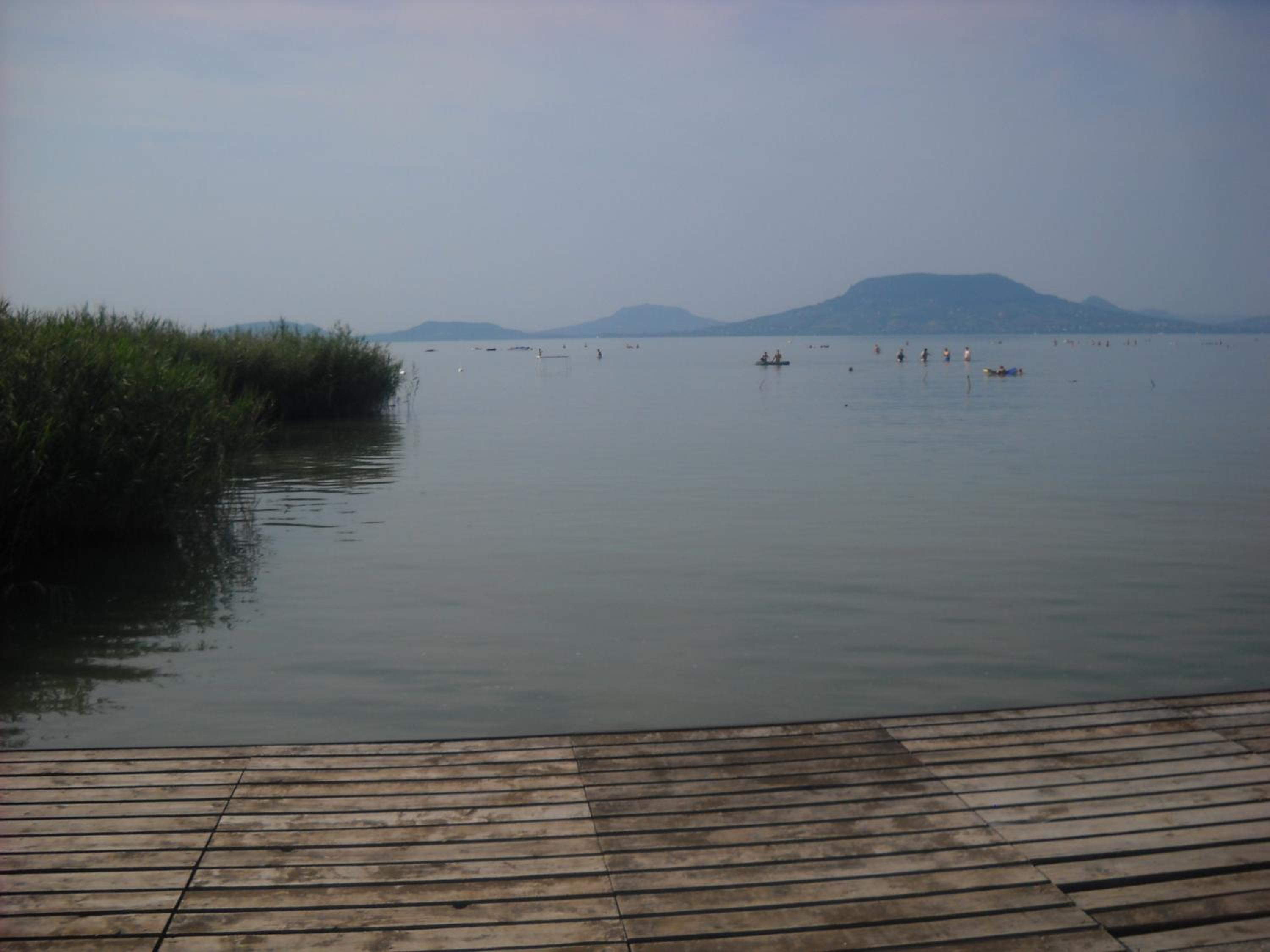 Photo 38