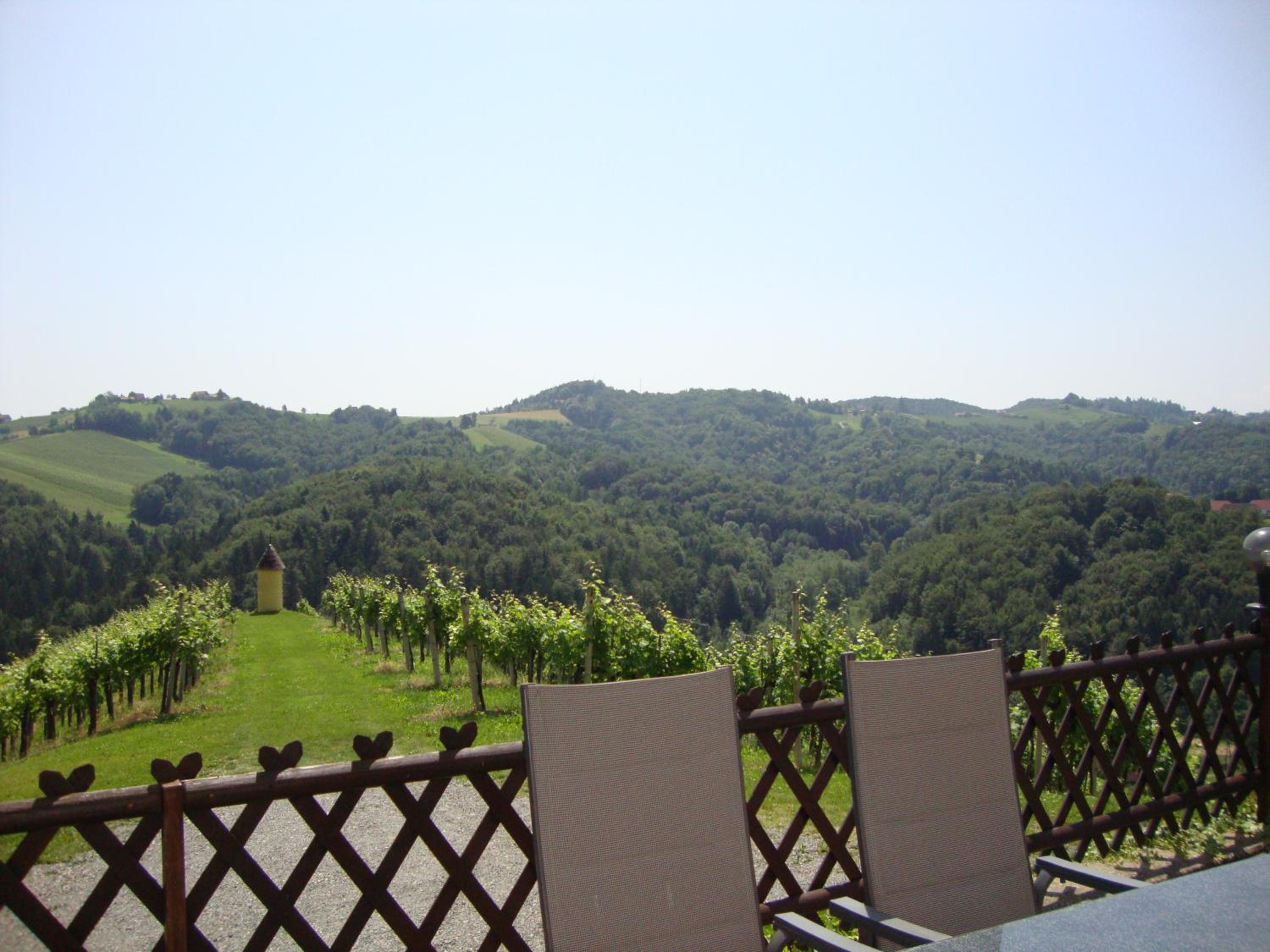 Ferienhaus Weingut Bauer