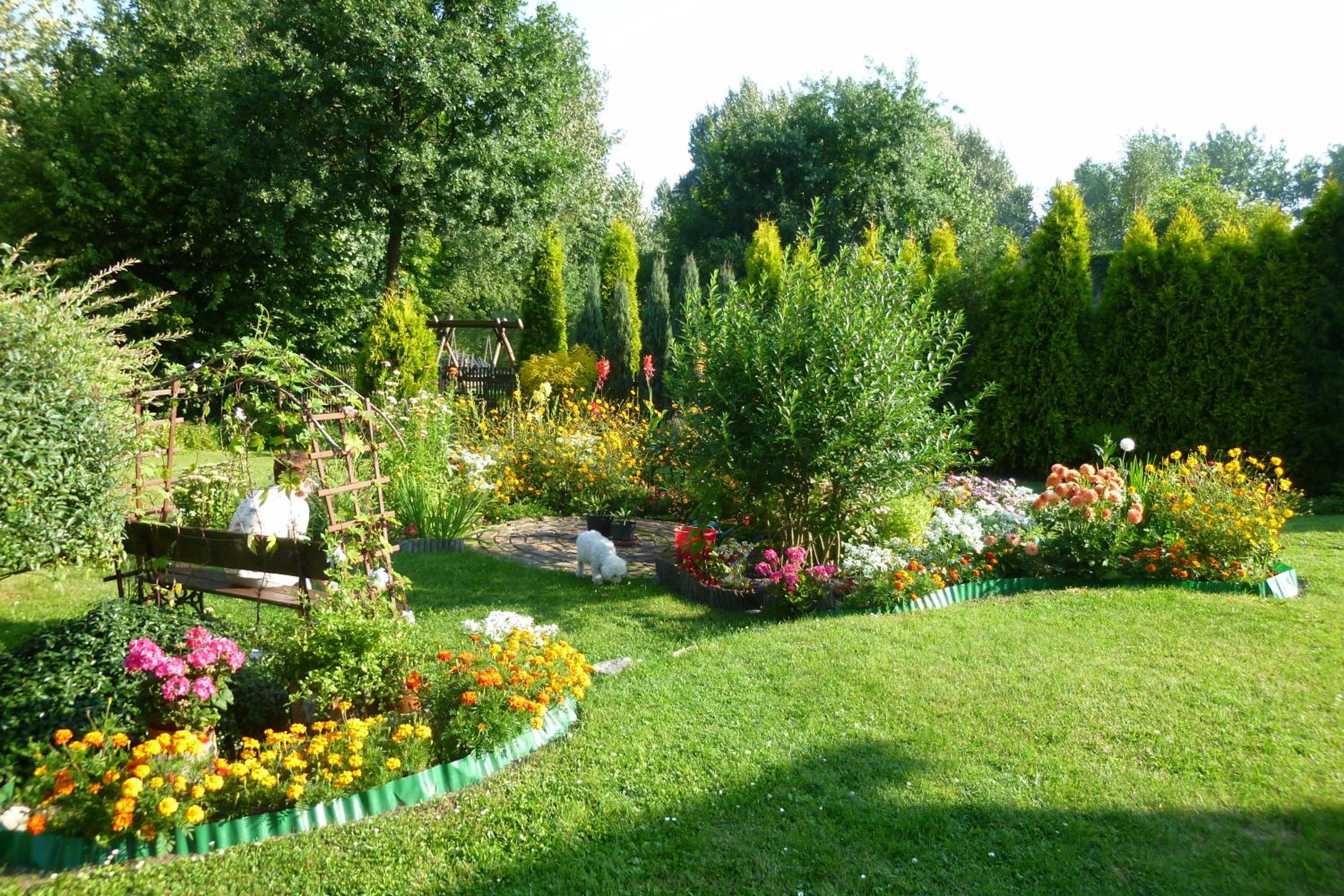 Photo 32