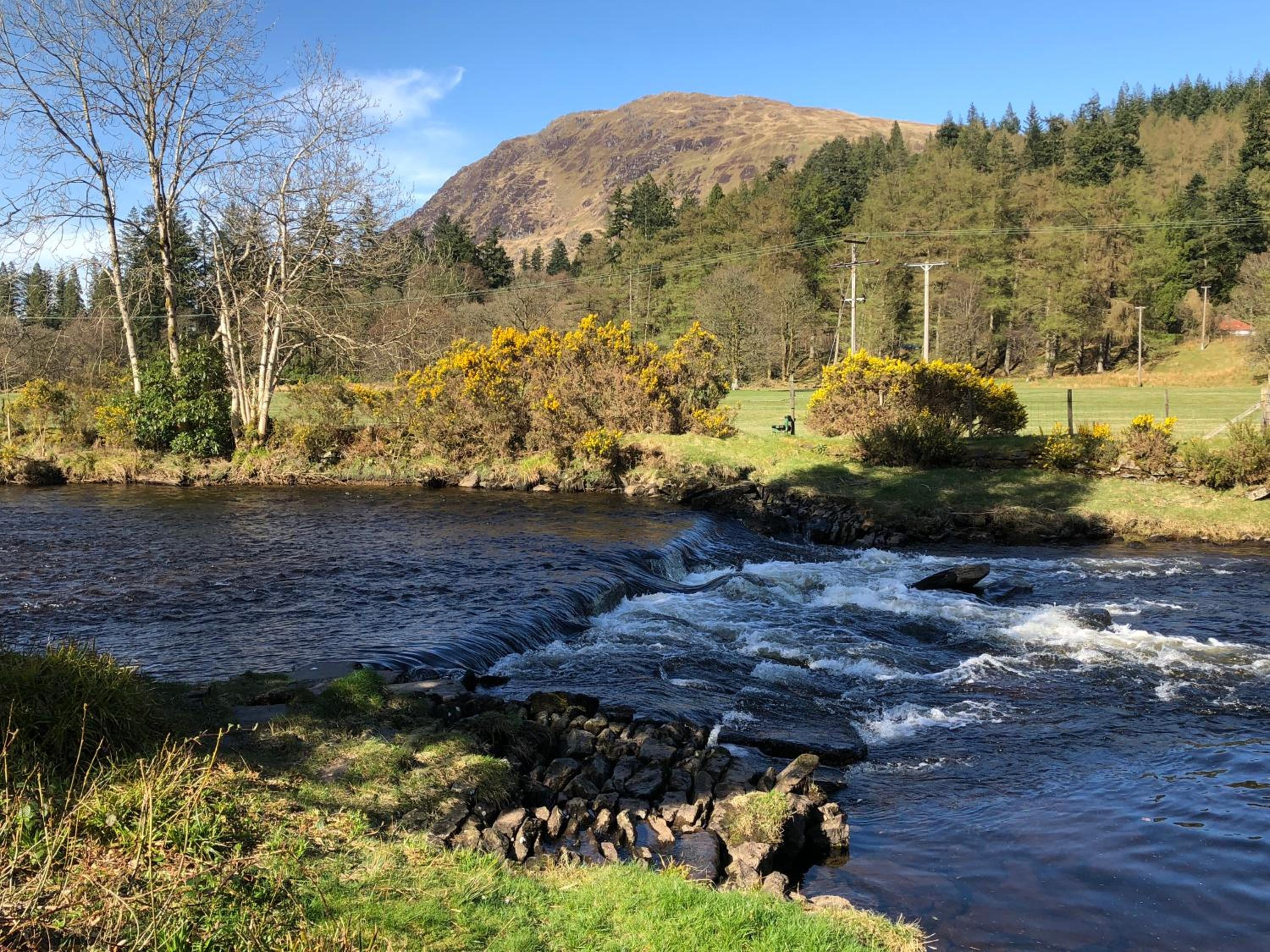 Pucks Glen Lodges - Log Cabins in a wonderful natural environment