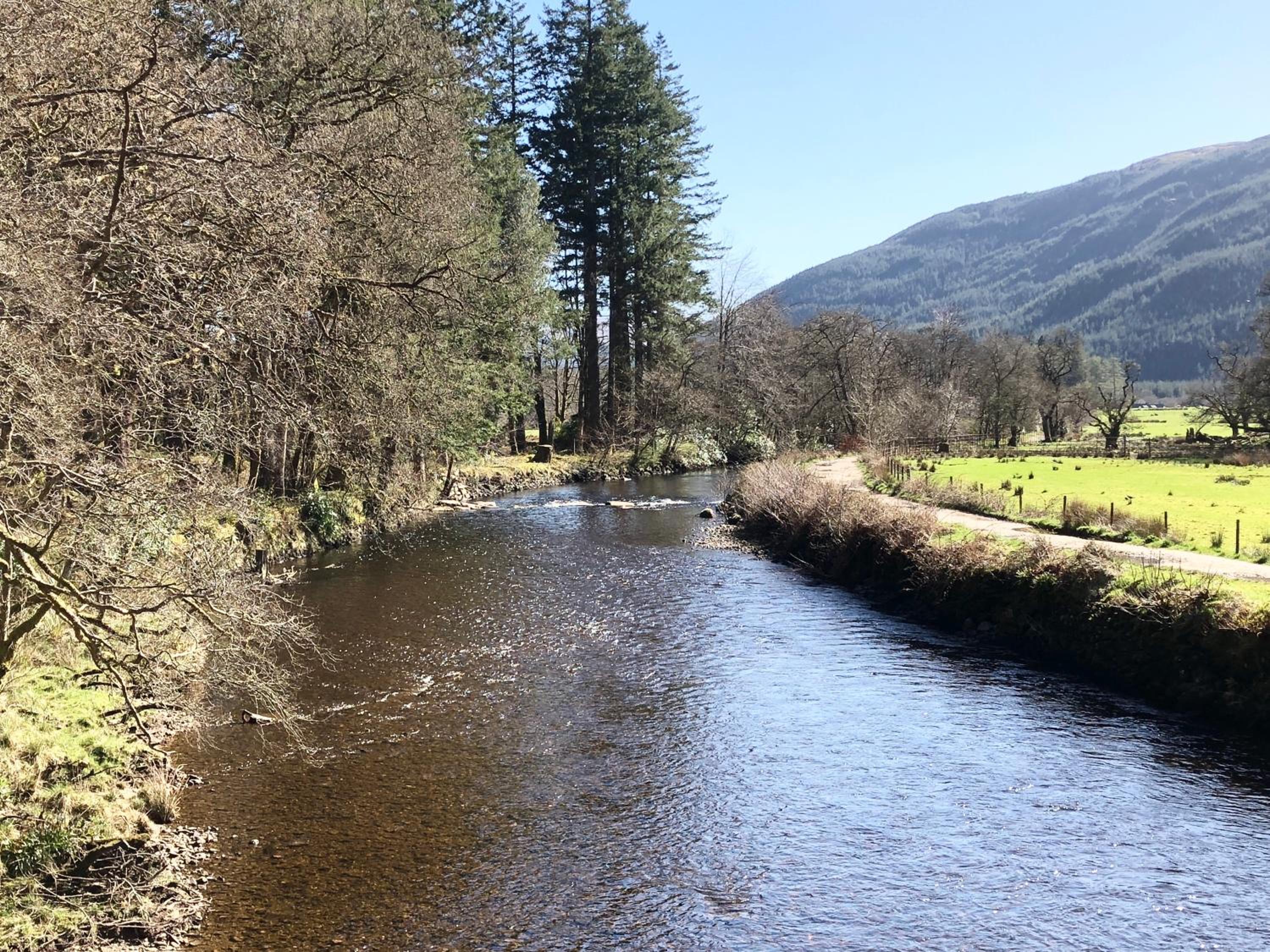 Pucks Glen Lodges - Log Cabins in a wonderful natural environment