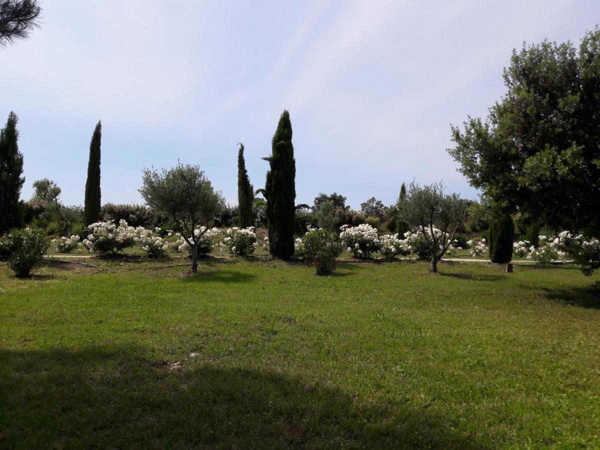 La Lune ô Collines - Gîte