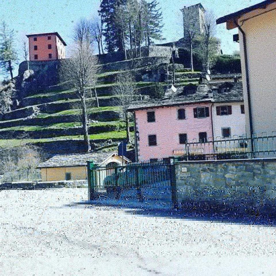 Photo 46