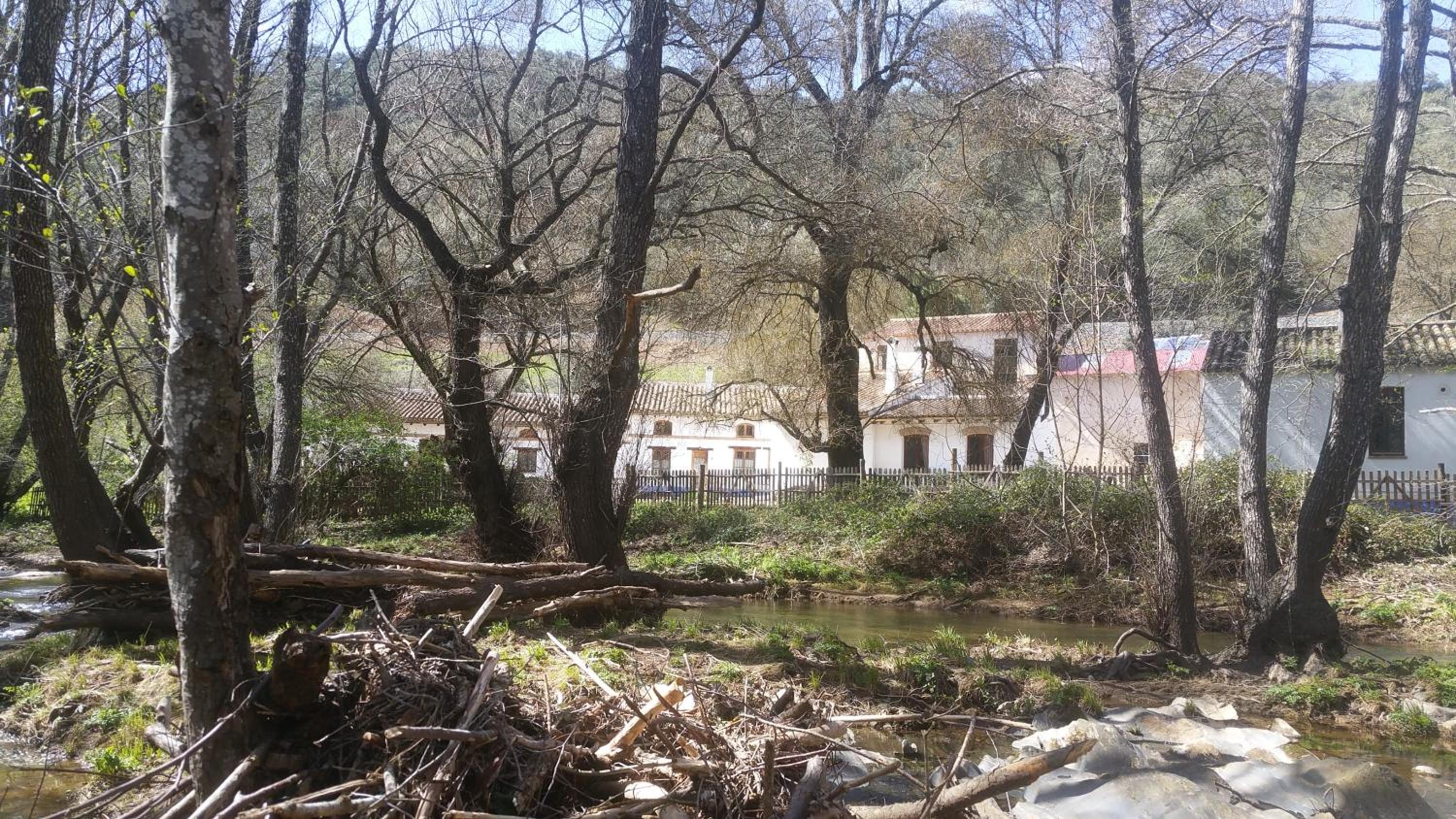 Photo 44