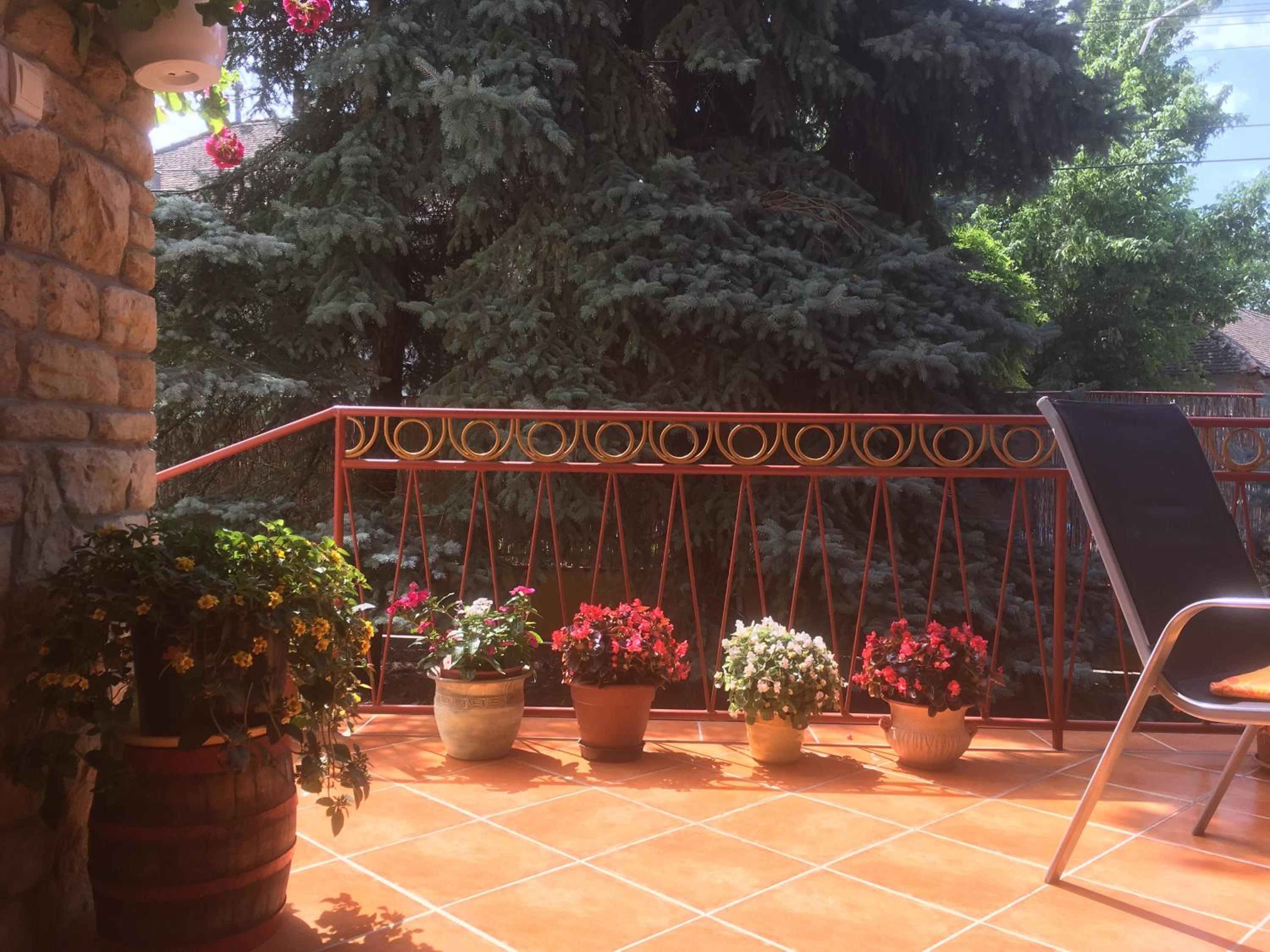 Photo 33