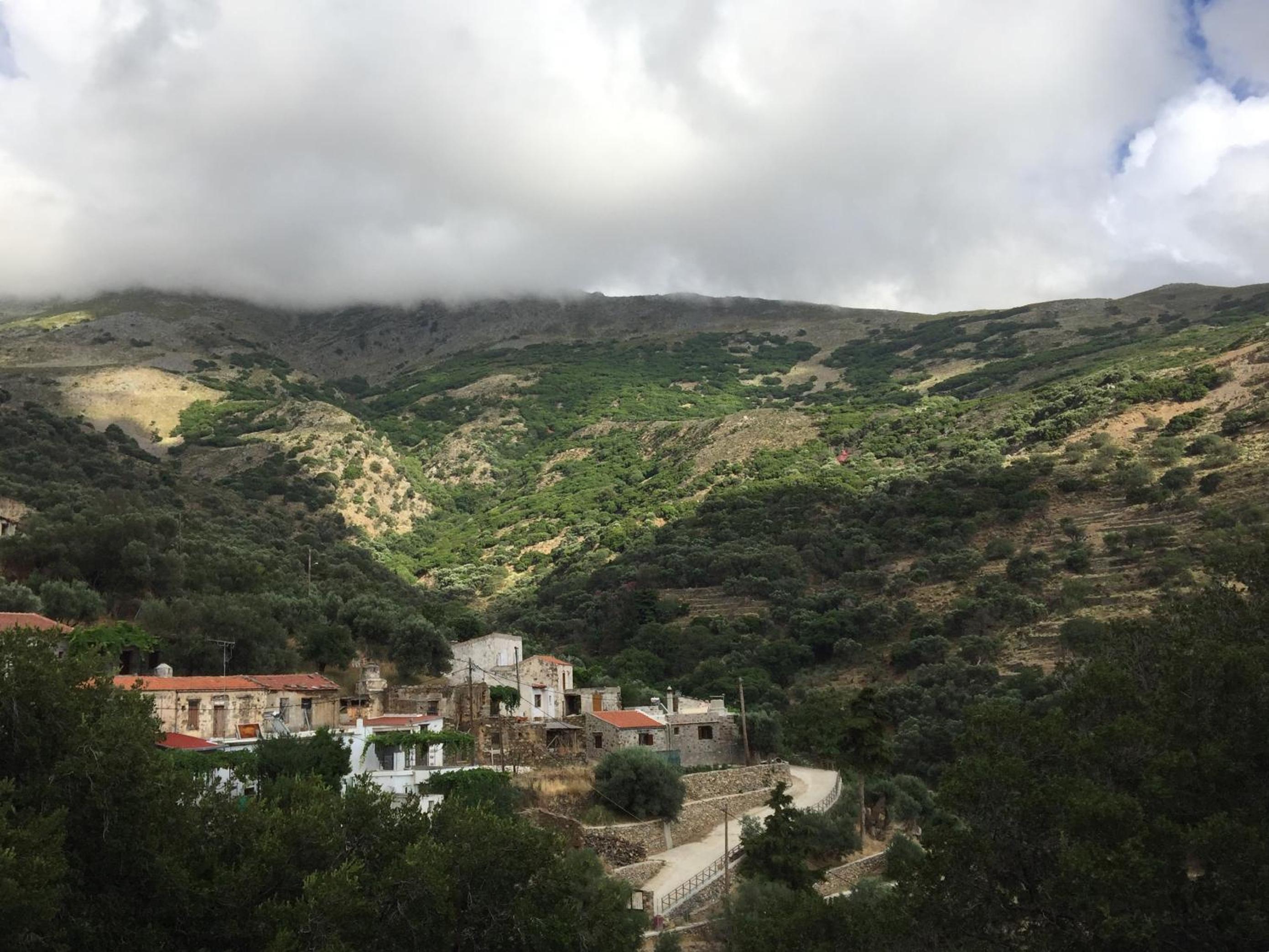 Villa Tzitzifia - Near Elafonisi