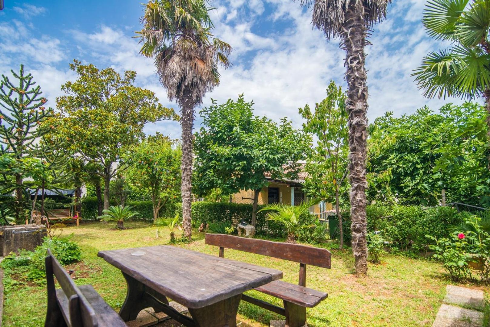 Apartment Ana Coki