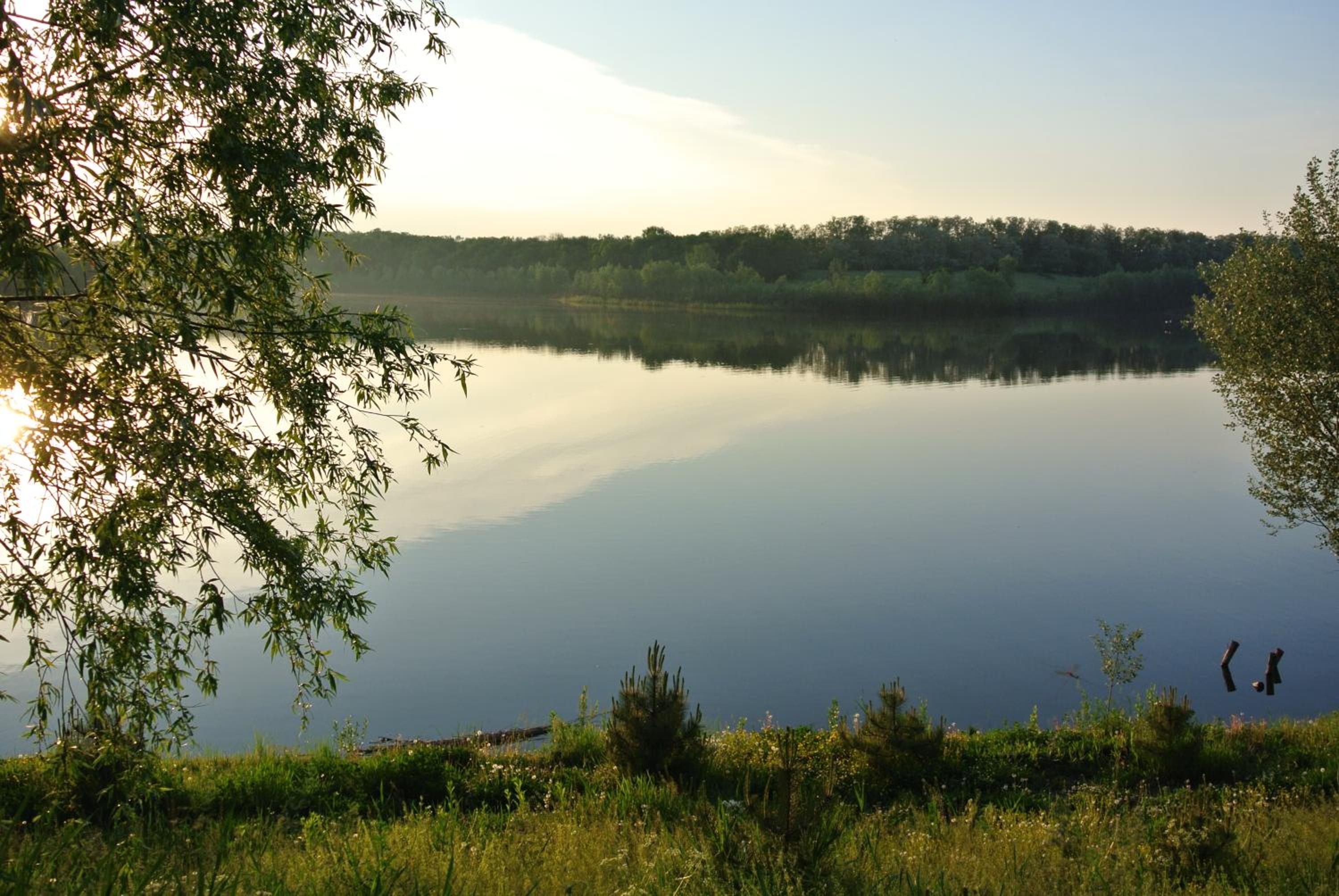 Vesyolaya Rochsha