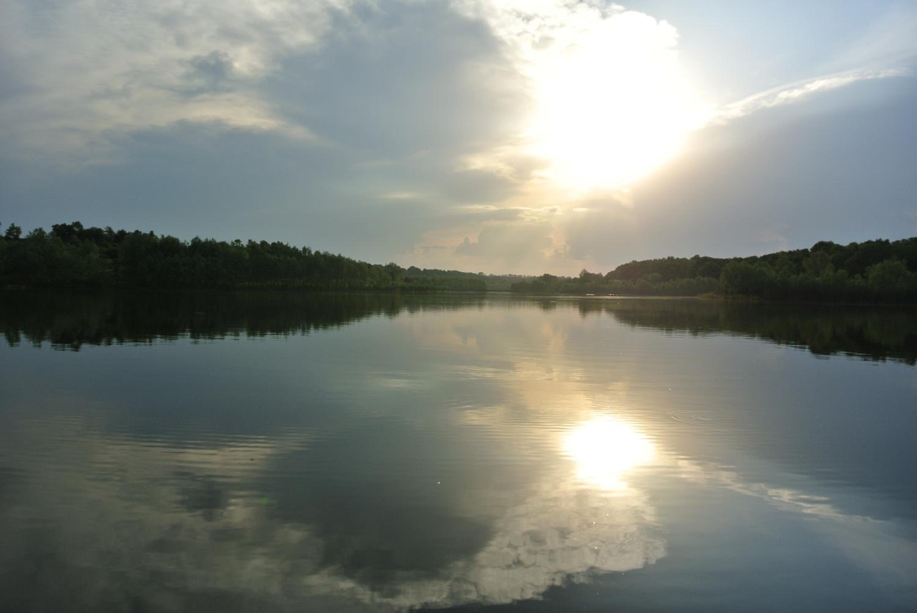 Vesyolaya Rochsha