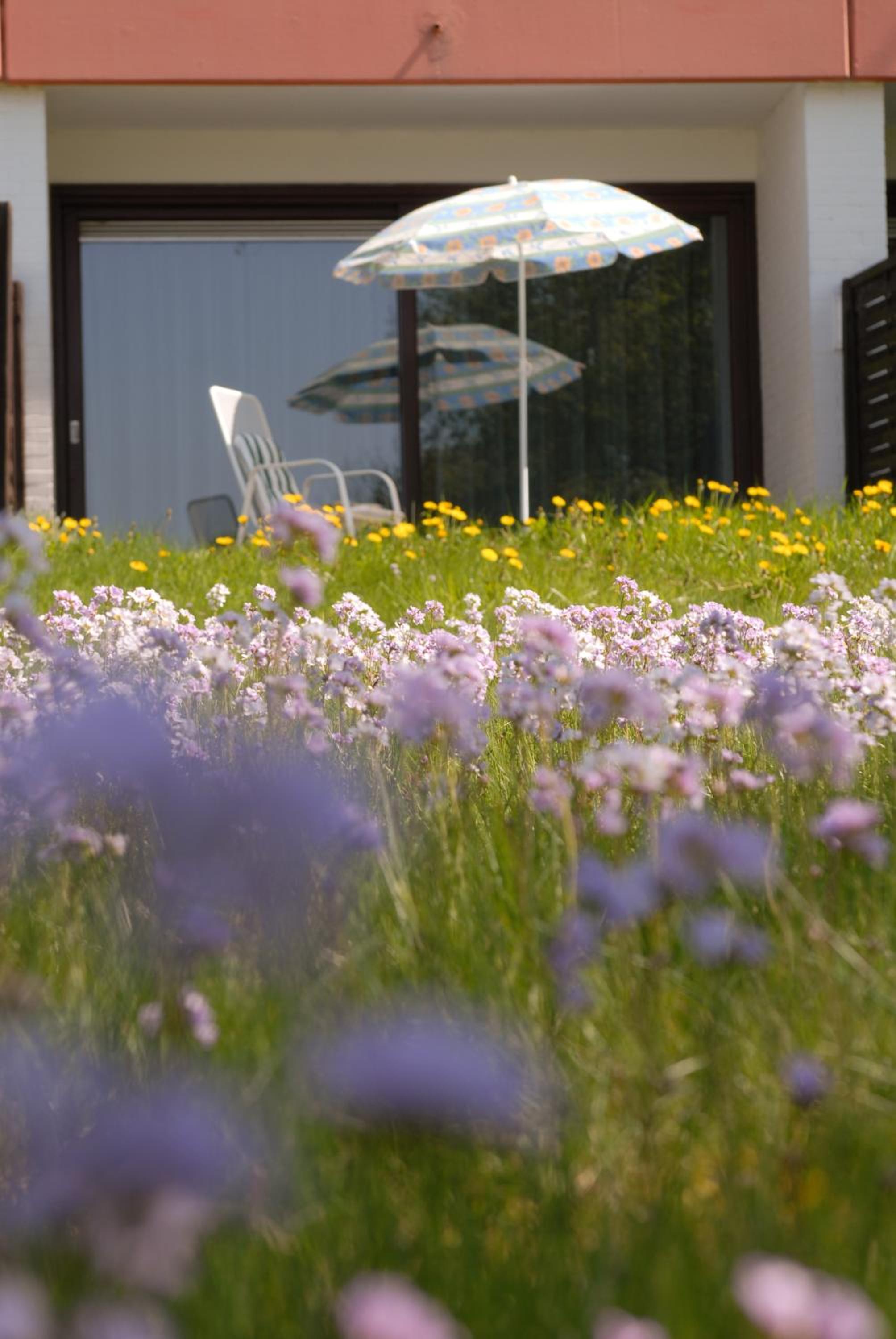 Ferienhaus Uklei view 4